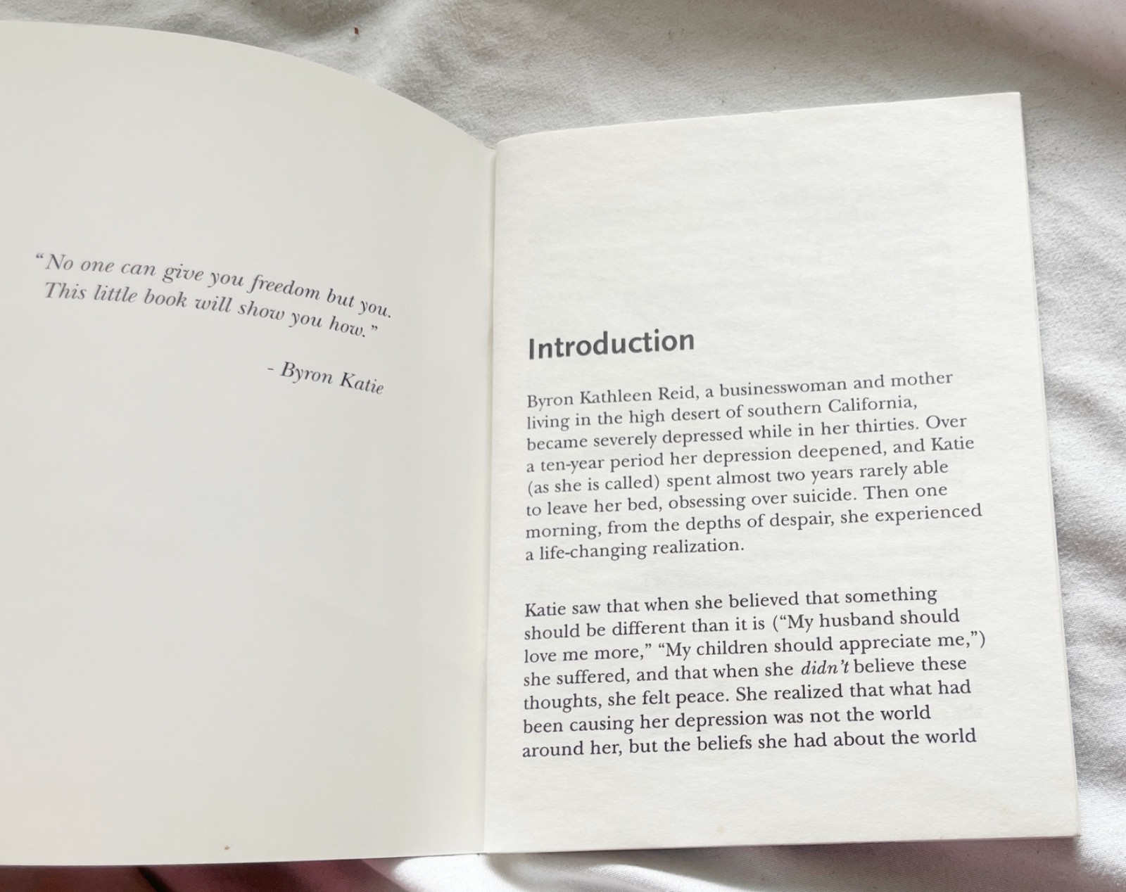 Loving What Is❤️Byron Katie💿Stephen Mitchell Audio CD Sampler Booklet📓The Work