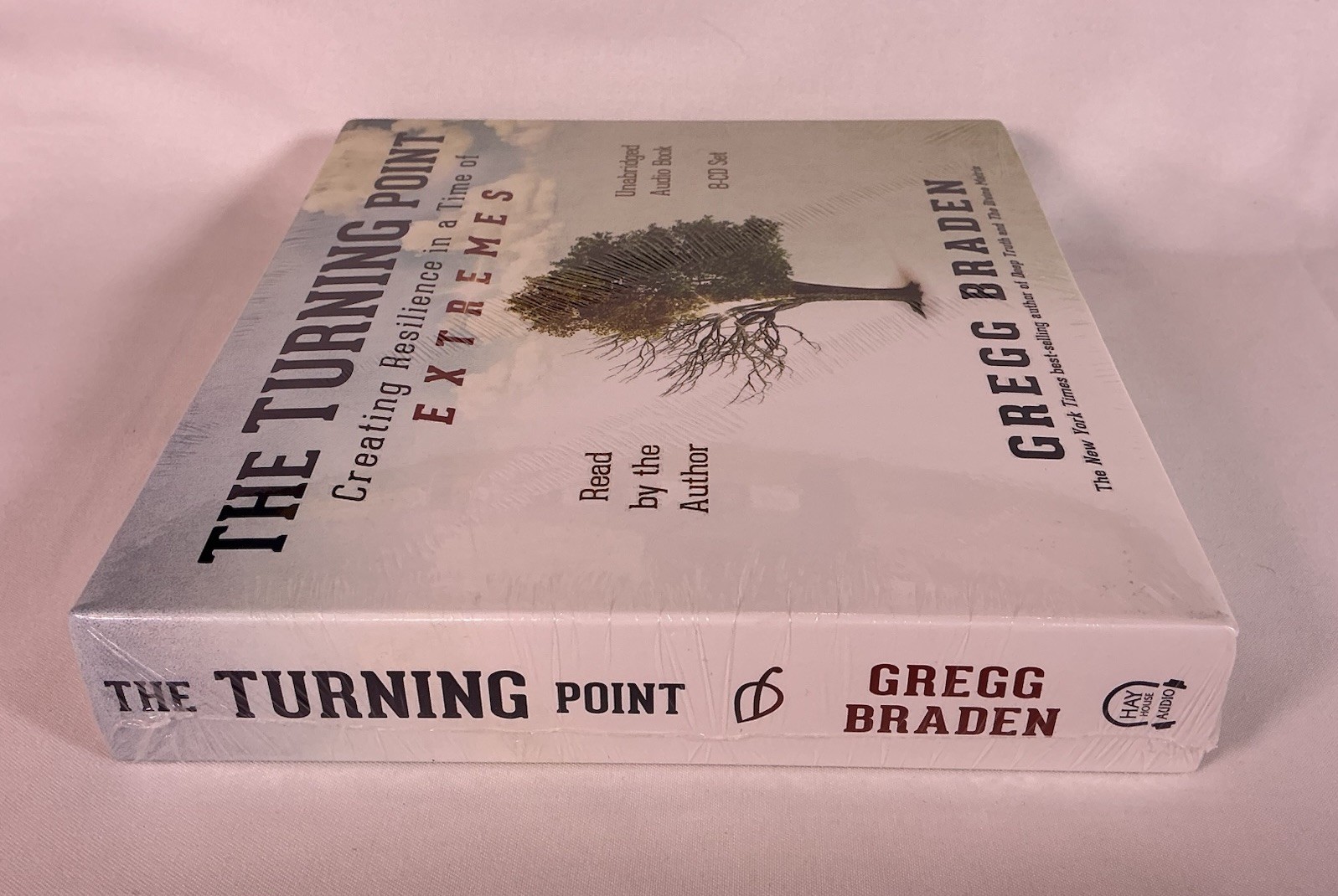 The TURNING Point Creating Resilience in a Time of Extremes (Mind-Body-Spirit)