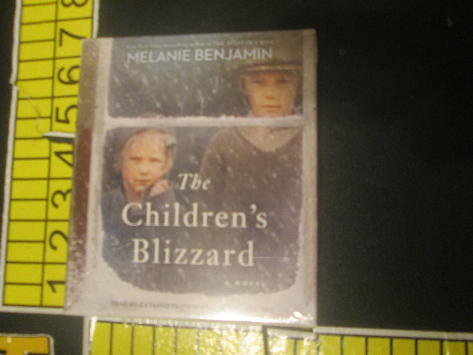 The Children’s Blizzard by Melanie Benjamin (Audio CD — Unabridged)