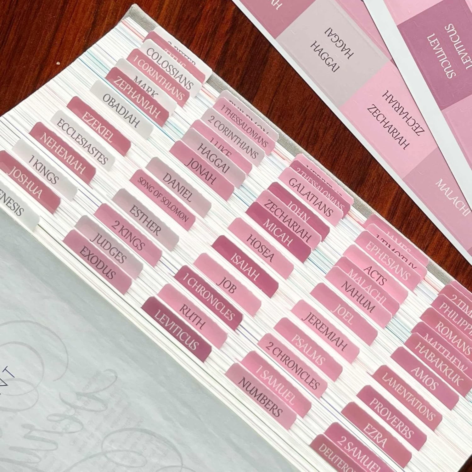 Pestañas Pestanas Biblicas Laminadas en Español Espanol Pesñagas Pesnagas Biblia