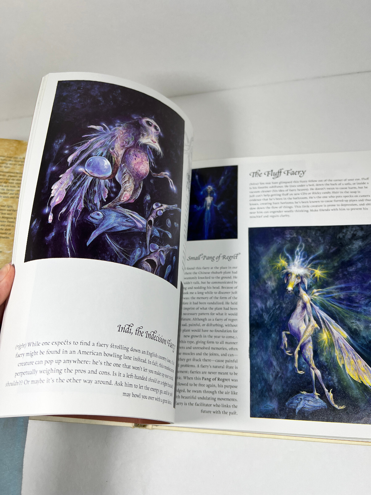 PREOWNED Good Faeries/Bad Faeries Hardcover