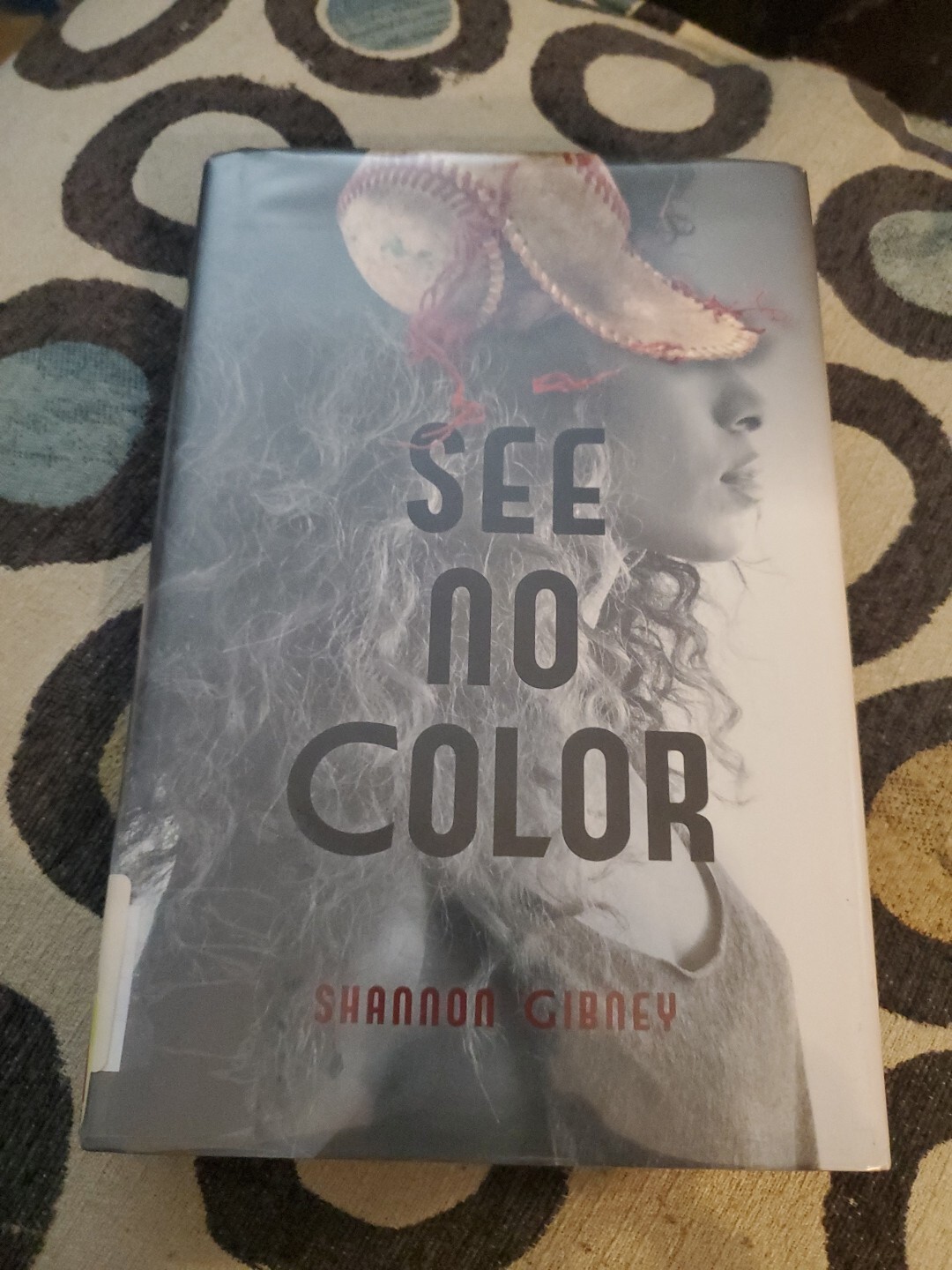 See No Color by Shannon Gibney (2015, Hardcover)