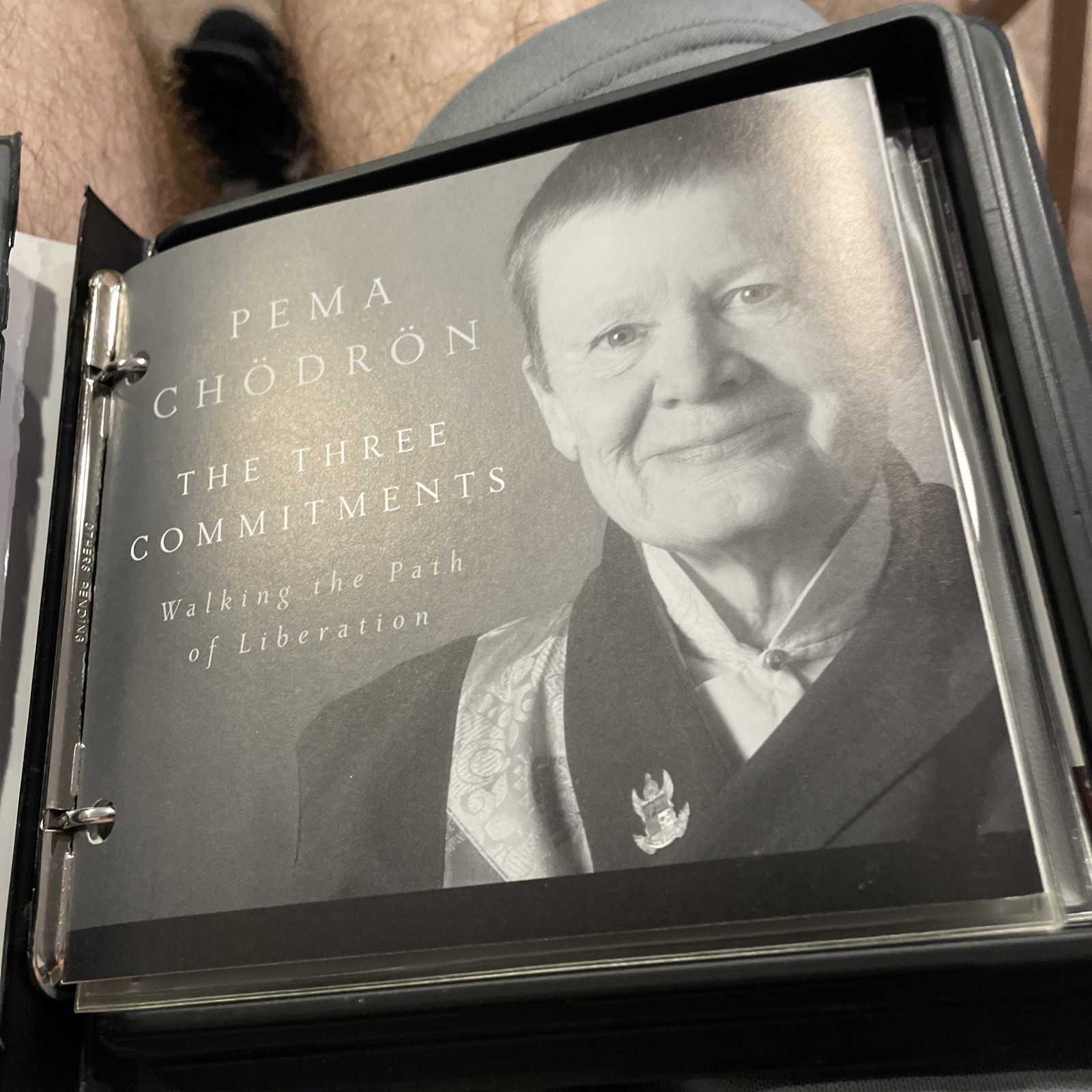 The Three Commitments : Walking the Path of Liberation by Pema Chöön (2010,…