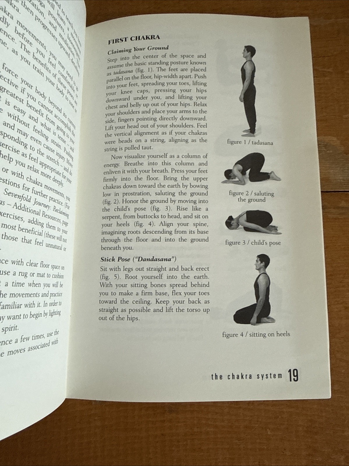 Chakra System : A Complete Course in Self-Diagnosis and Healing by Anodea Judith