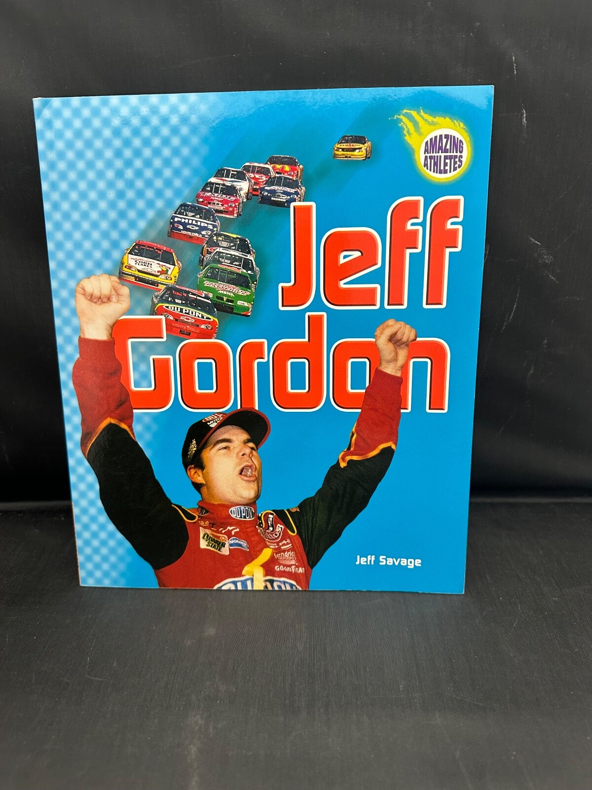 Jeff Gordon by Savage, Jeff