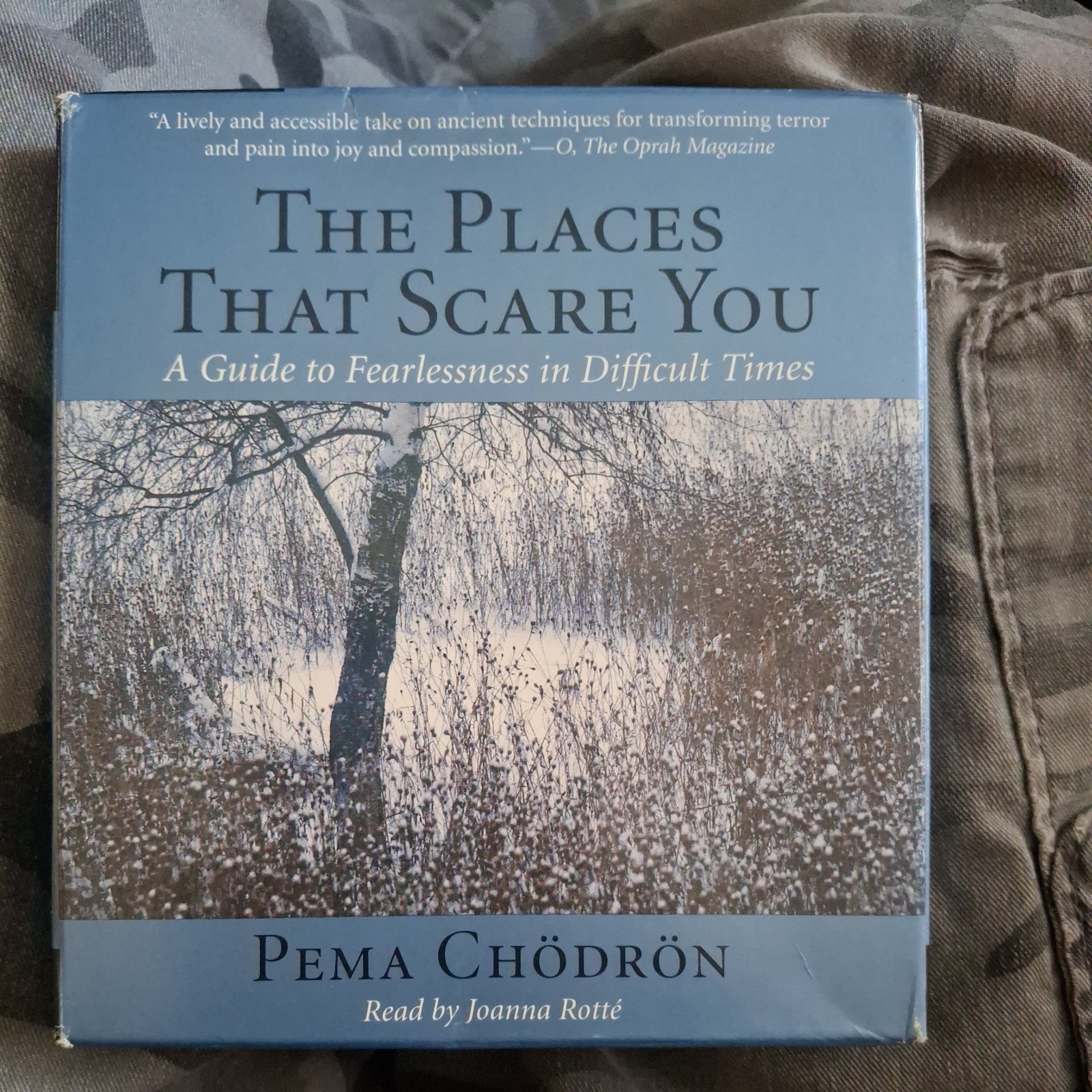 The Places That Scare You : A Guide to Fearlessness in Difficult Times by…