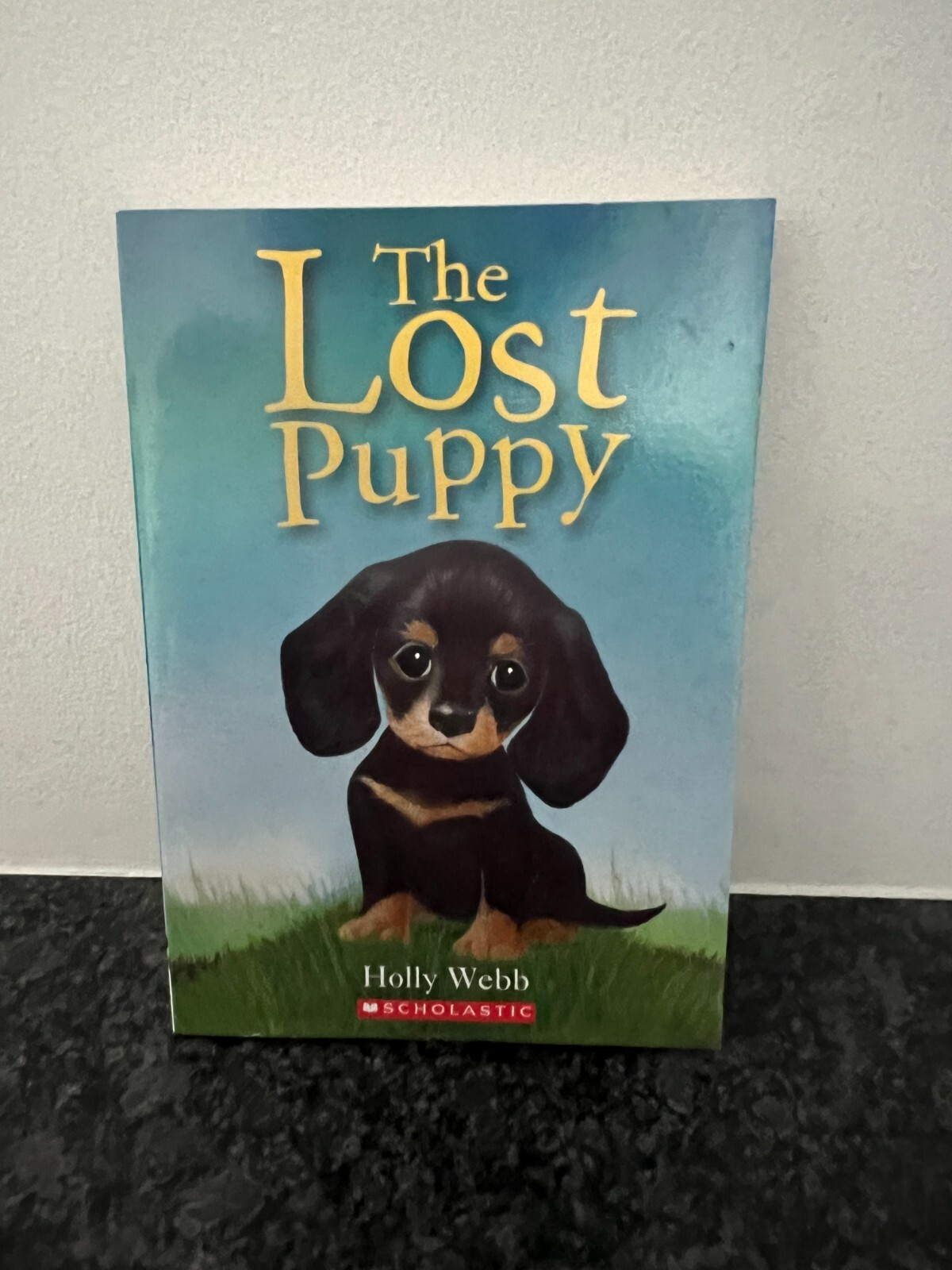 The Lost Puppy by Holly Webb Scholastic Paperback