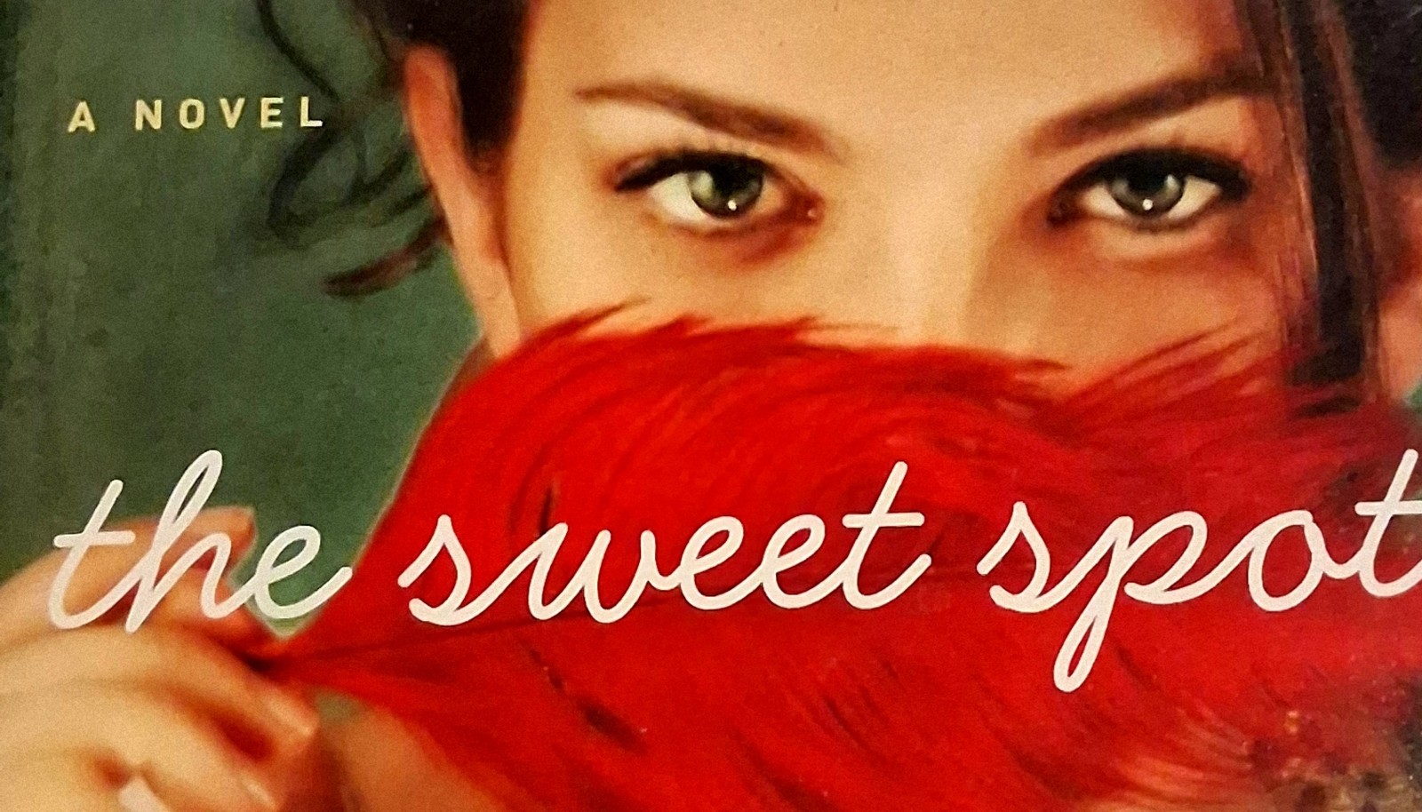 Audiobook CD («The Sweet Spot») by Stephanie Evanovich Unabridged