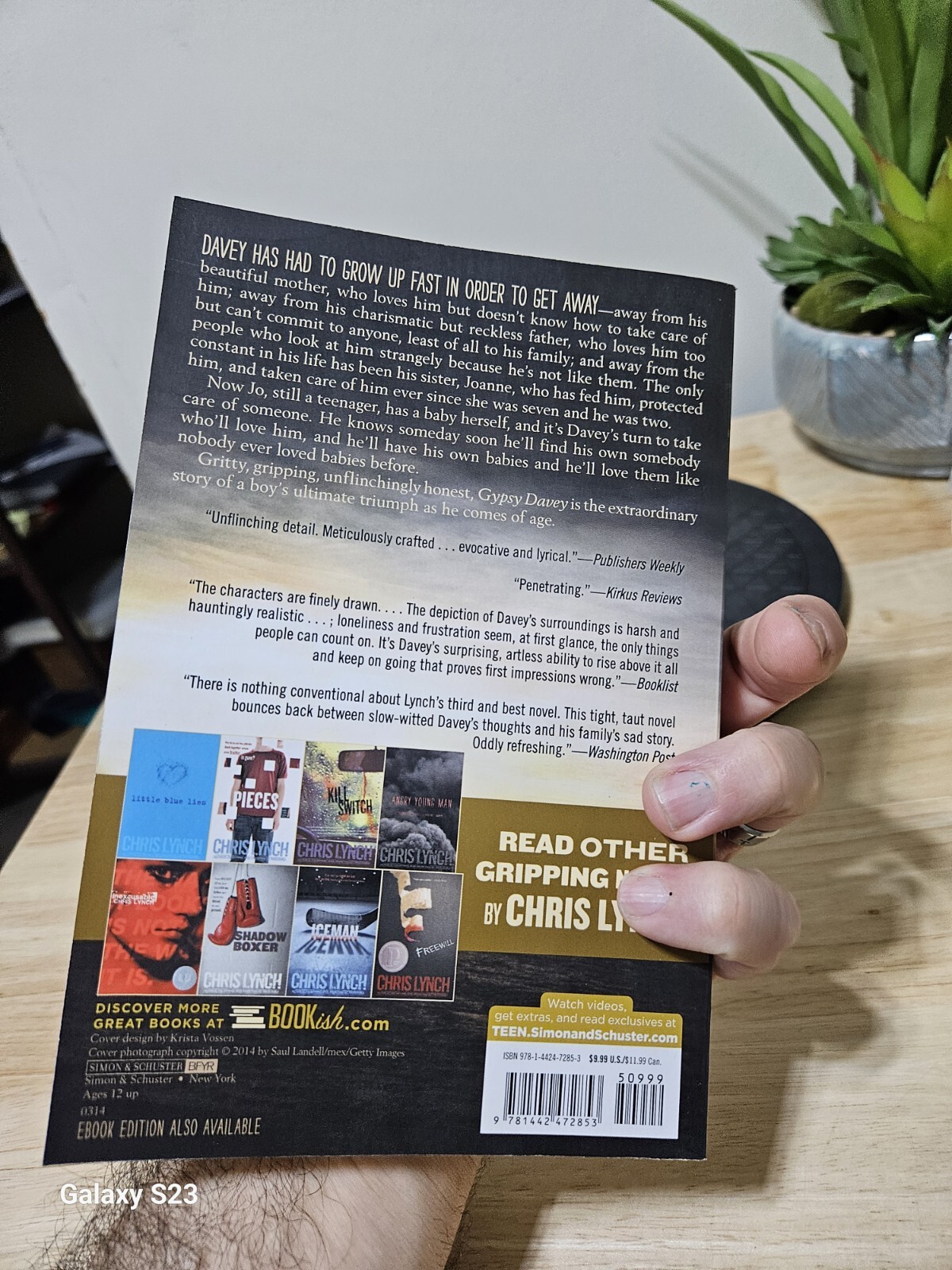 GYPSY DAVEY By Chris Lynch 2014 Paperback