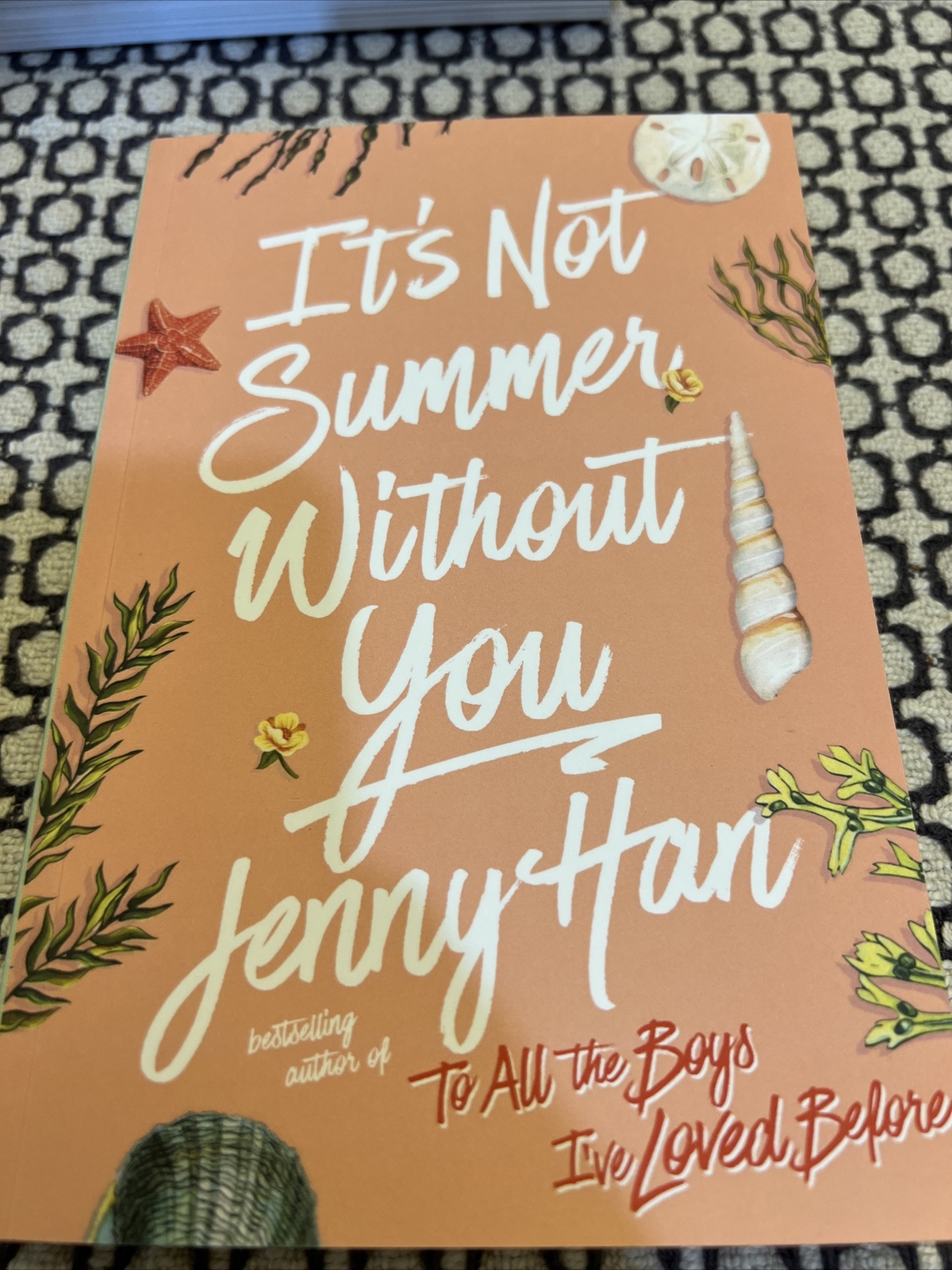 The Summer I Turned Pretty Ser.: It’s Not Summer Without You by Jenny Han (2011,