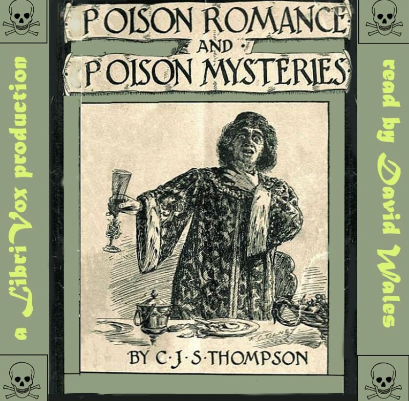 Poison Romance And Mysteries On USB Flash Drive- Home Or Car- Librivox Audio