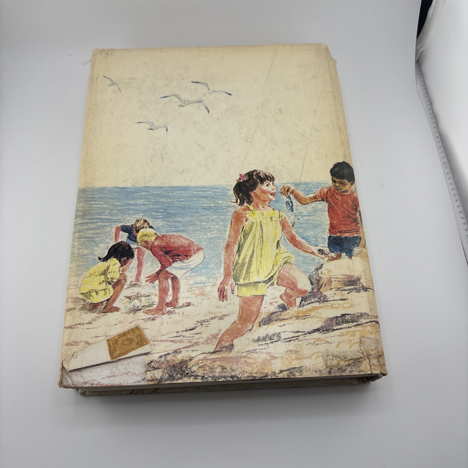 Vintage Taylors Bible Story Book 1970 Kenneth N Taylor HC DJ Illustrated