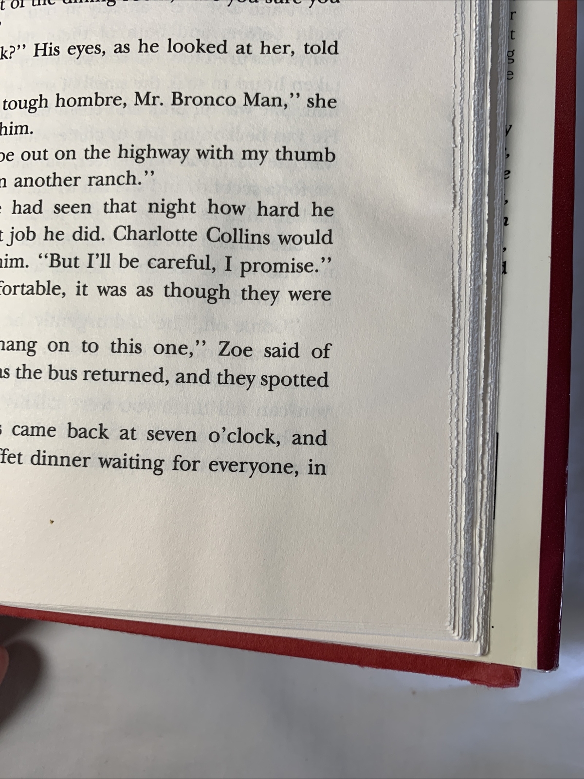 The Ranch: A Novel by Steel, Danielle