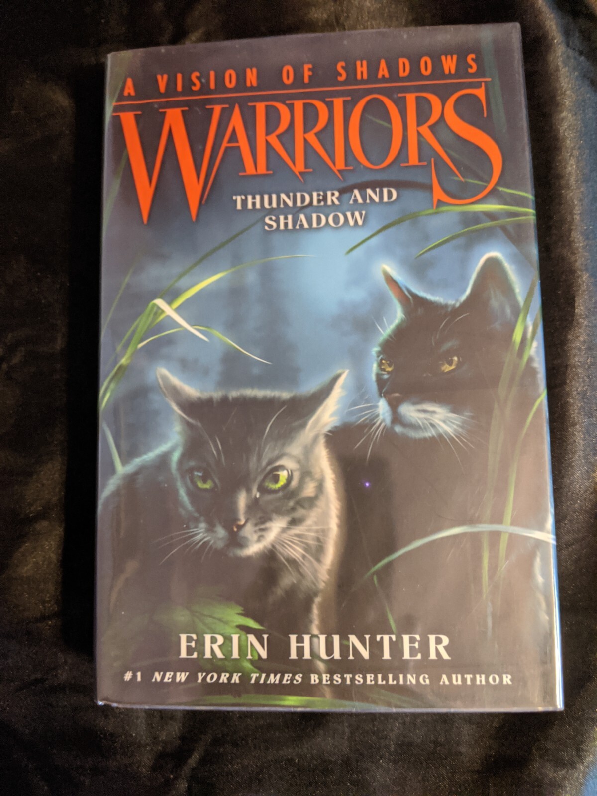 Warriors: A Vision of Shadows #2: Thunder and Shadow Erin Hunter