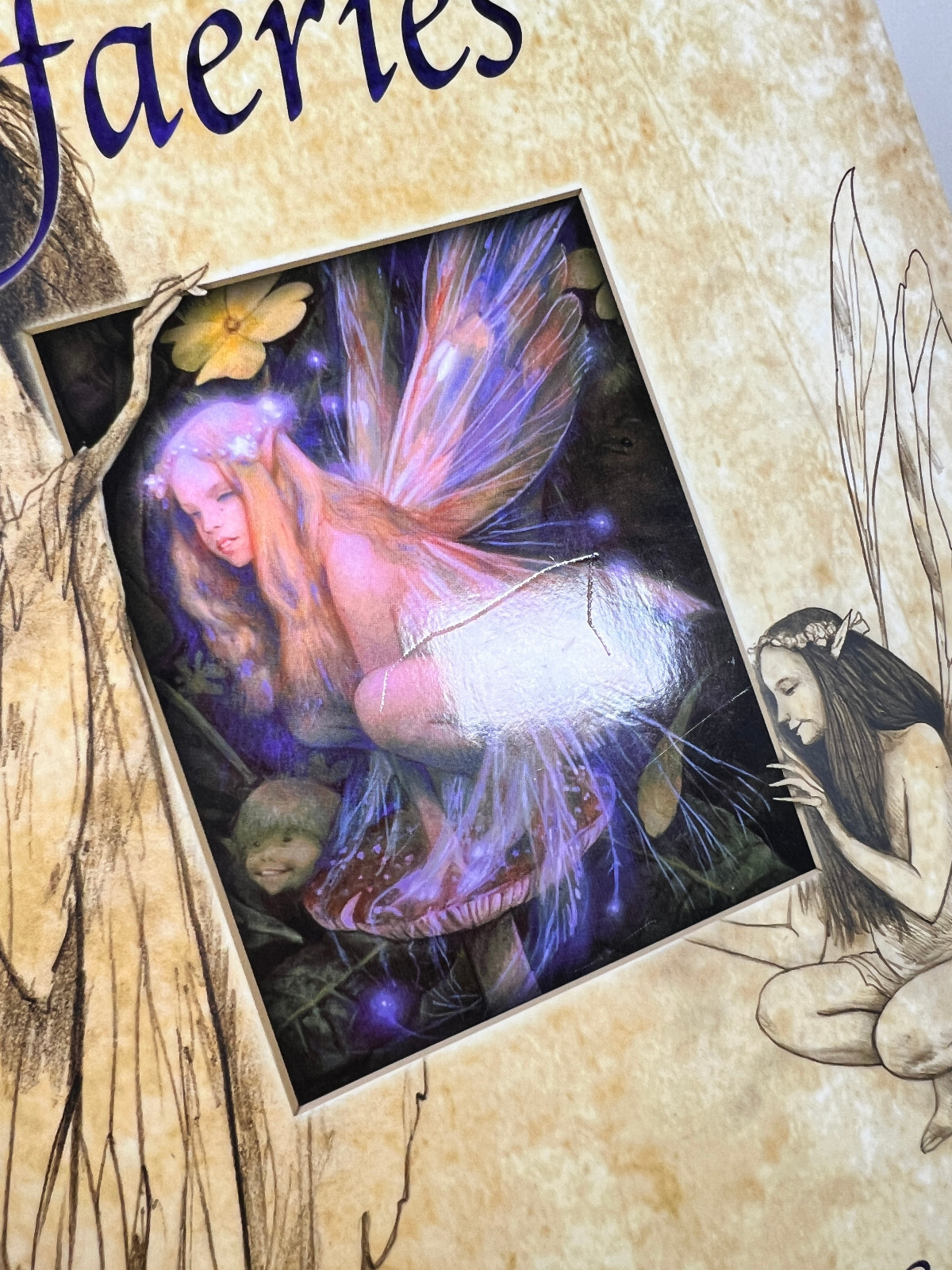 PREOWNED Good Faeries/Bad Faeries Hardcover