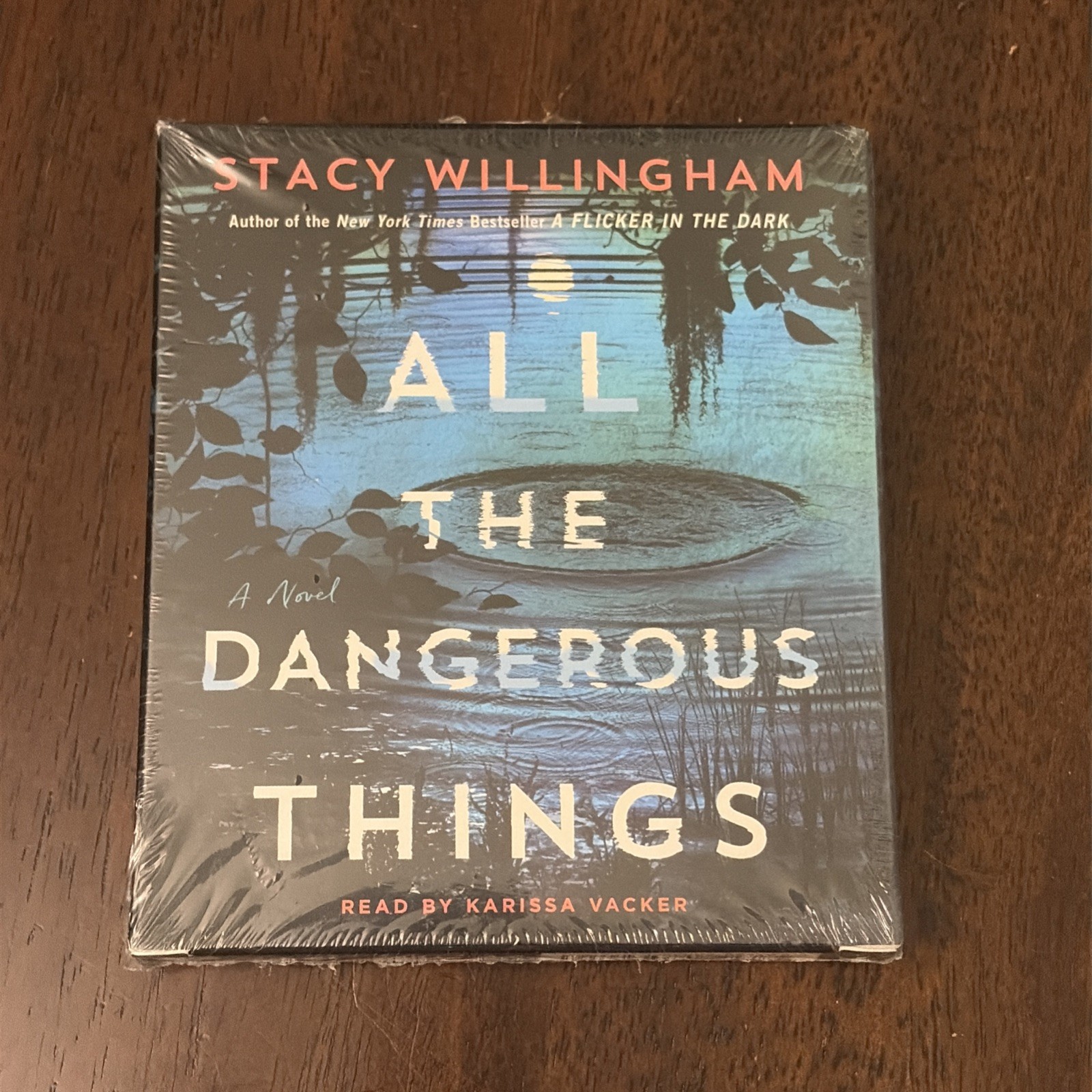All the Dangerous Things : A Novel by Stacy Willingham (2023, Compact Disc) New
