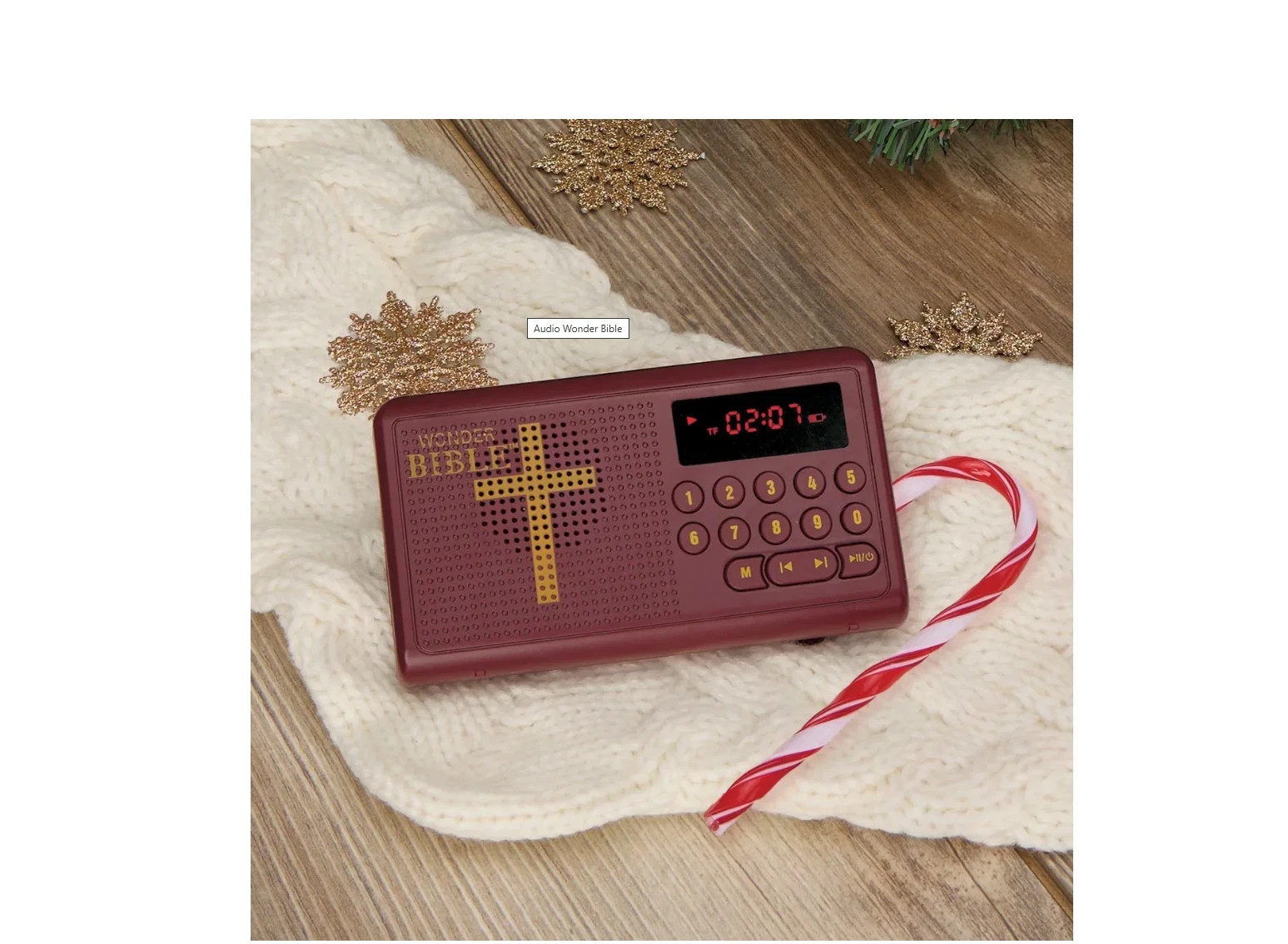Wonder Bible KJV Talking Audio Bible Player King James Version — Free Shipping
