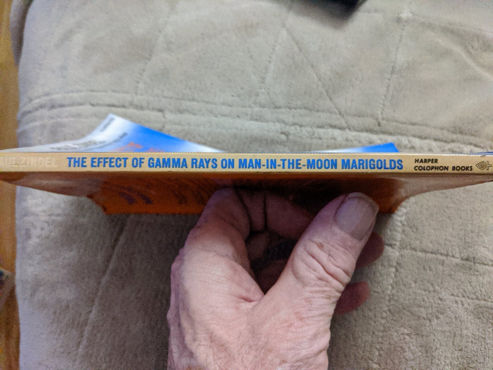 Effect of Gamma Rays on Man-in-the-Moon Marigolds Hardcover Paul