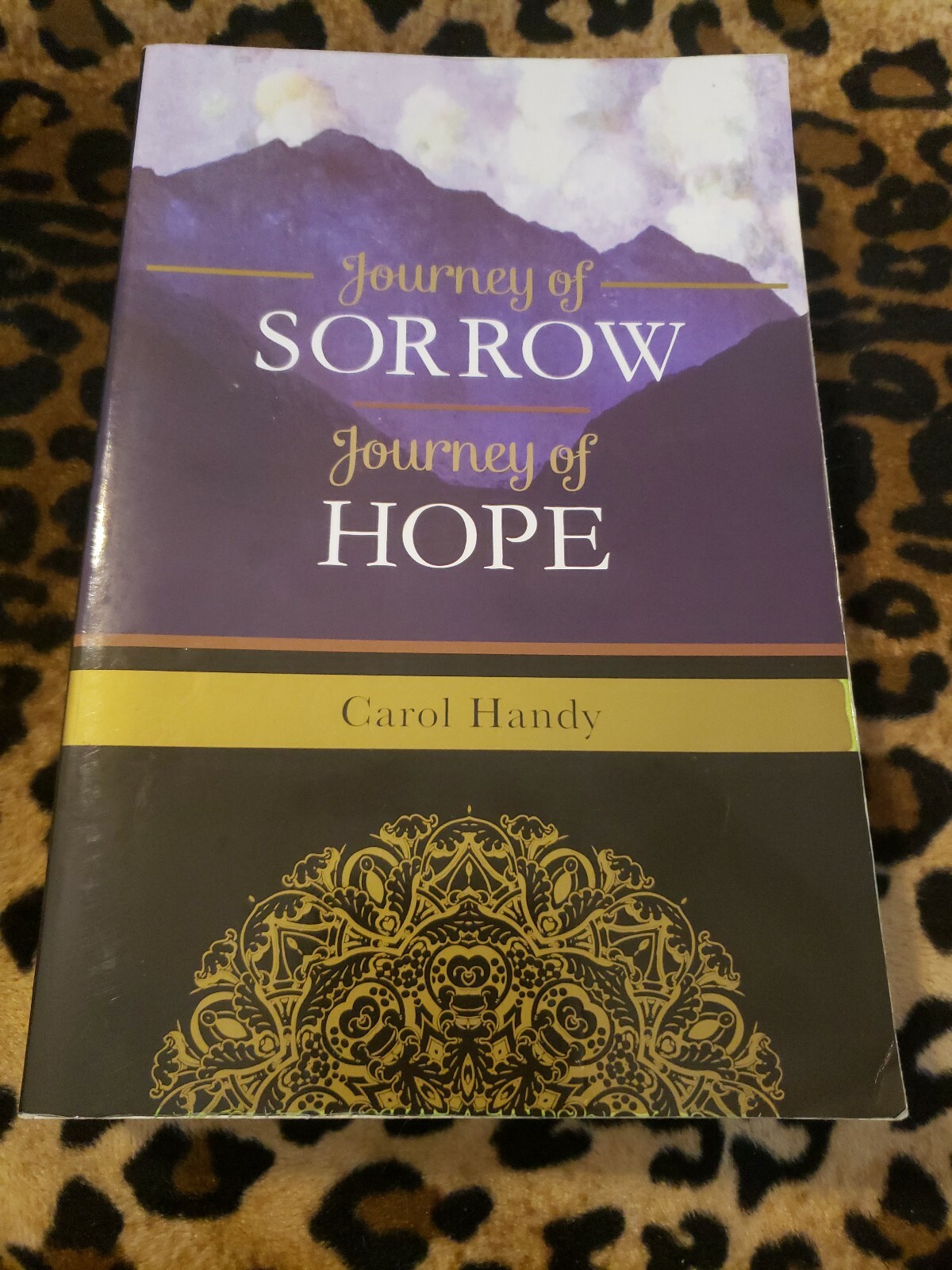 Journey of Sorrow Journey of Hope by Carol Handy