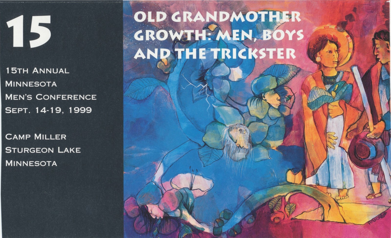 🟢1999 Robert Bly Minnesota Mens Gathering 18 Hrs Audio 13 Tapes Cassettes Myth