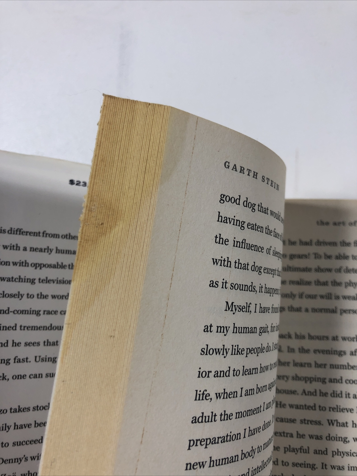 The Art of Racing in the Rain — Garth Stein (2008, Hardcover, Dust Jacket)