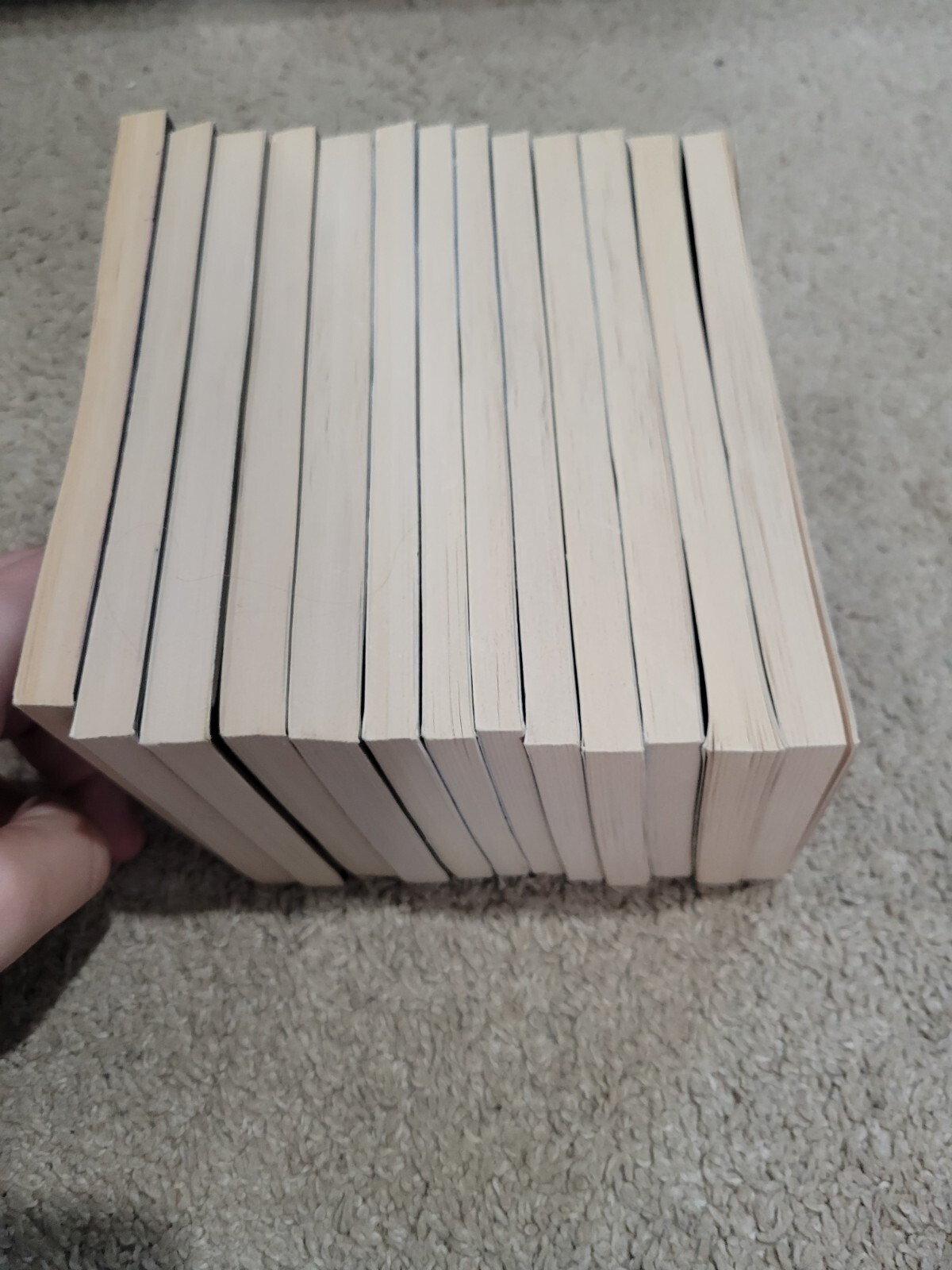 Left Behind The Kids Volumes 1-11 and 13-14 — Paperbacks — Jerry B. Jenkins