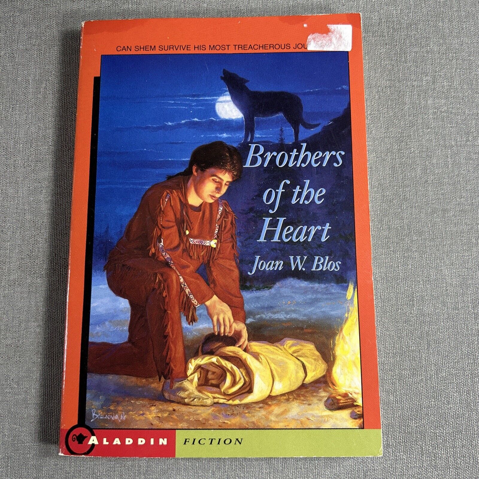 Childrens Historical 9 Paperback Book Lot Titanic Vampire Toliver’s Secret