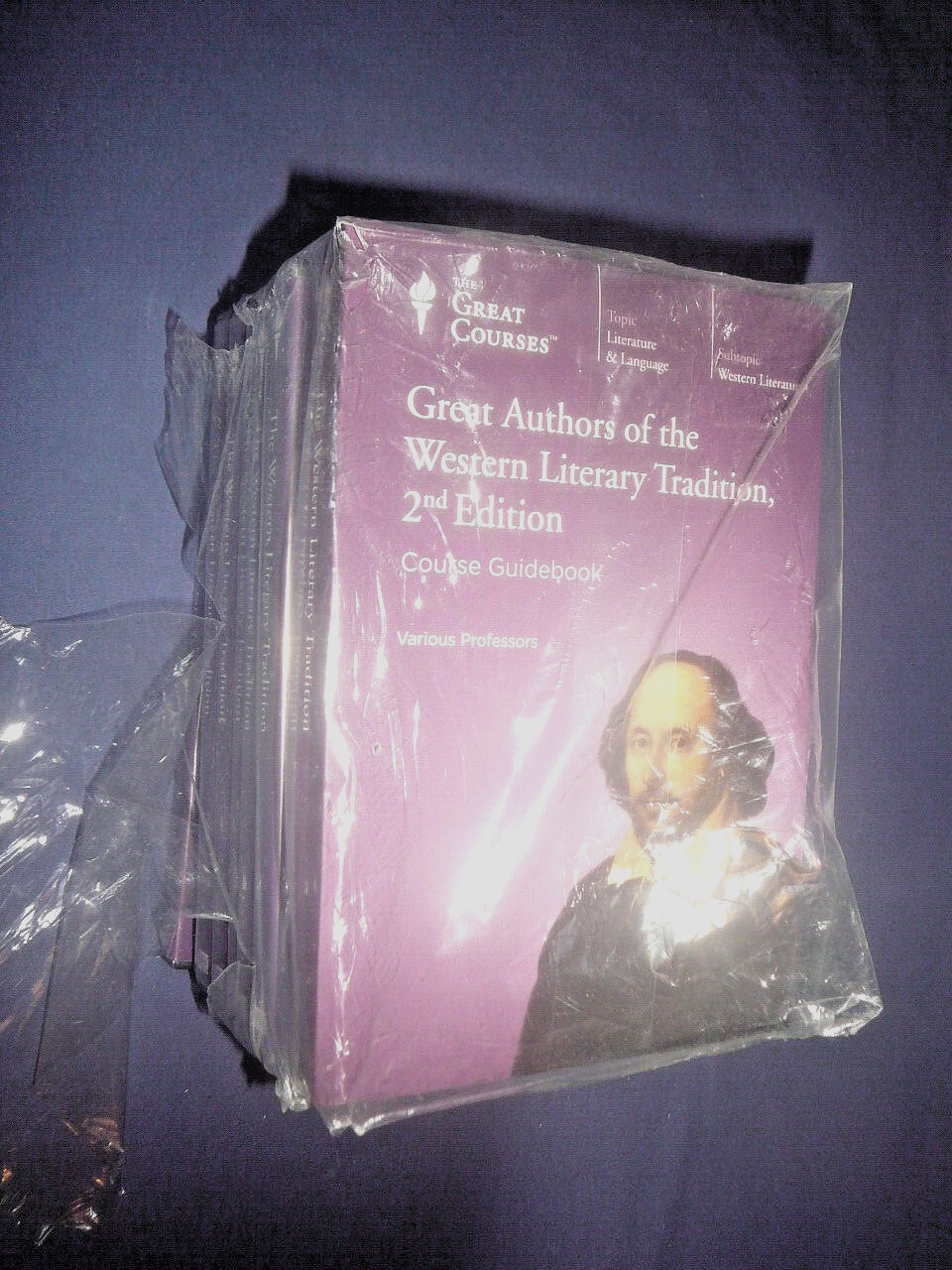 Teaching Co Great Courses CDs : GREAT AUTHORS WESTERN LITERARY TRADITION