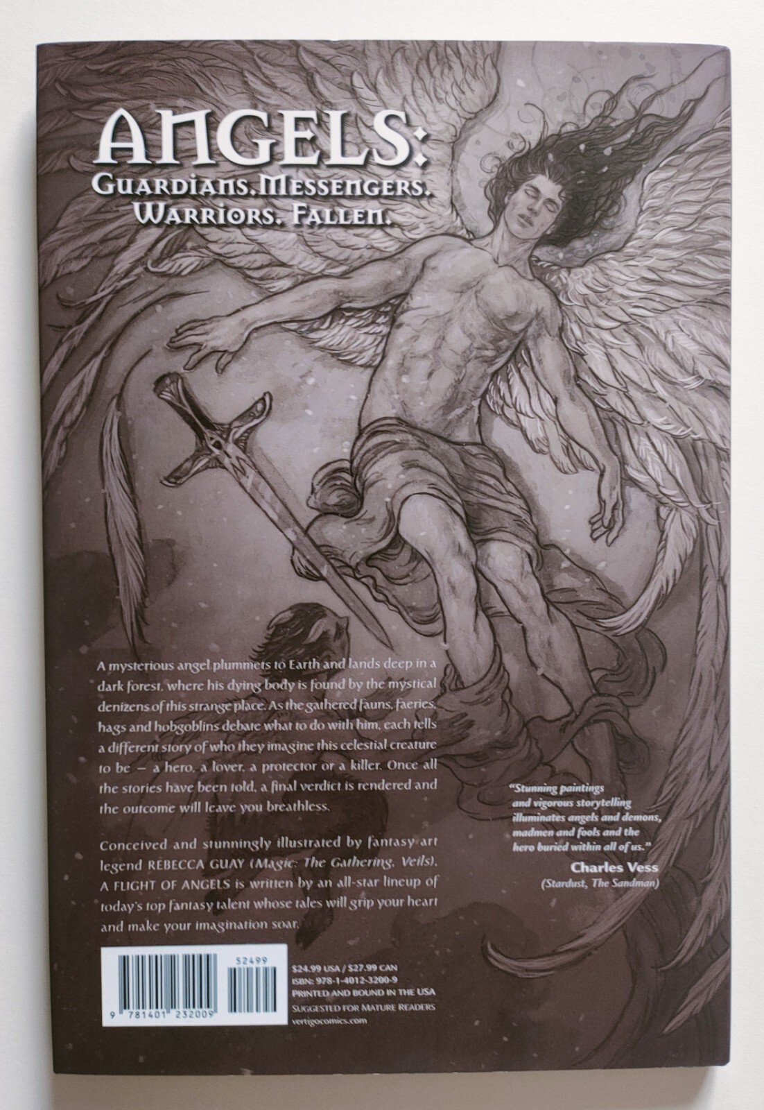 Flight Of Angels by Holly Black, Rebecca Guay (Hardcover, 2011 First Print) VF