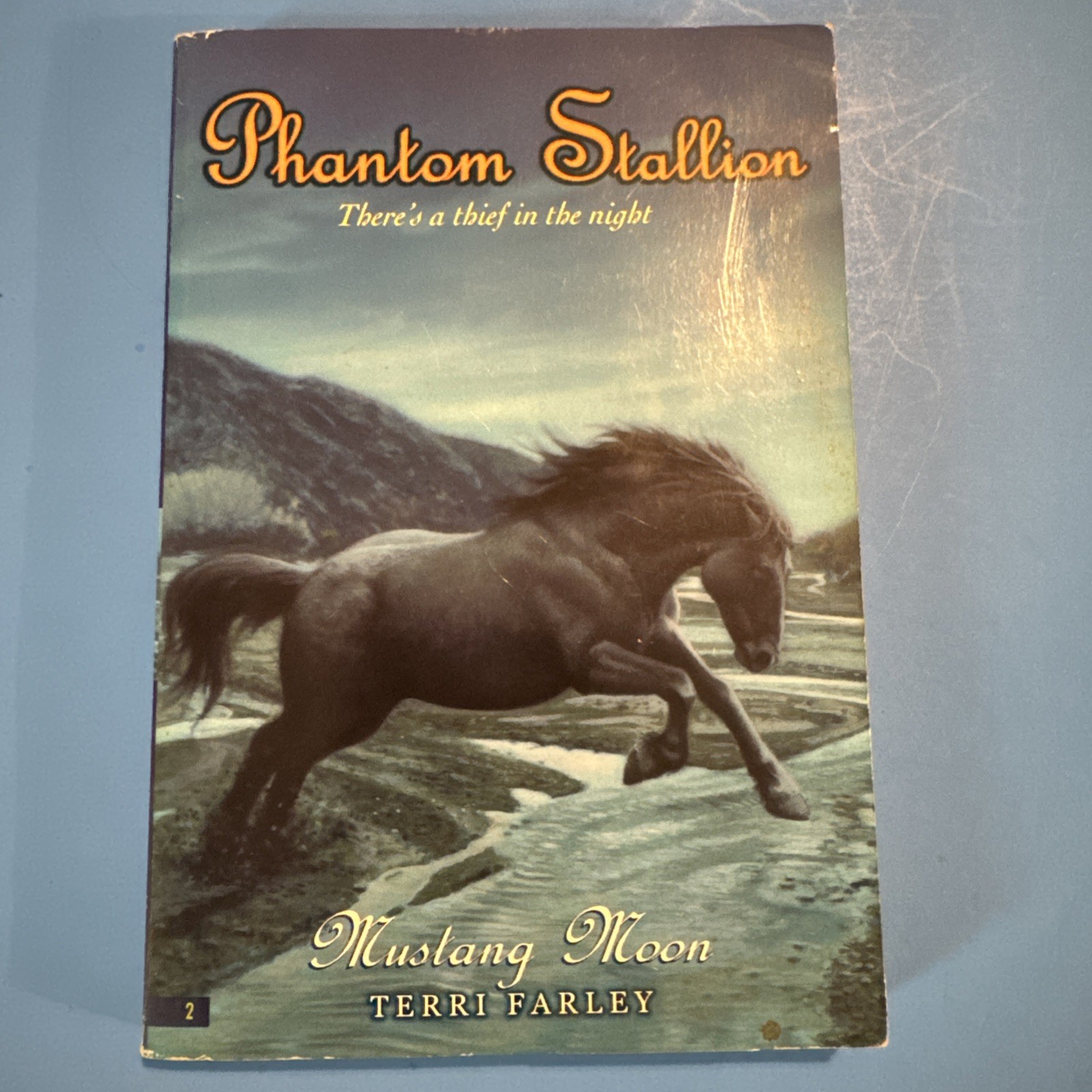 Vintage 2002 Phantom Stallion Mustang Moon Terri Farley preowned Paperback