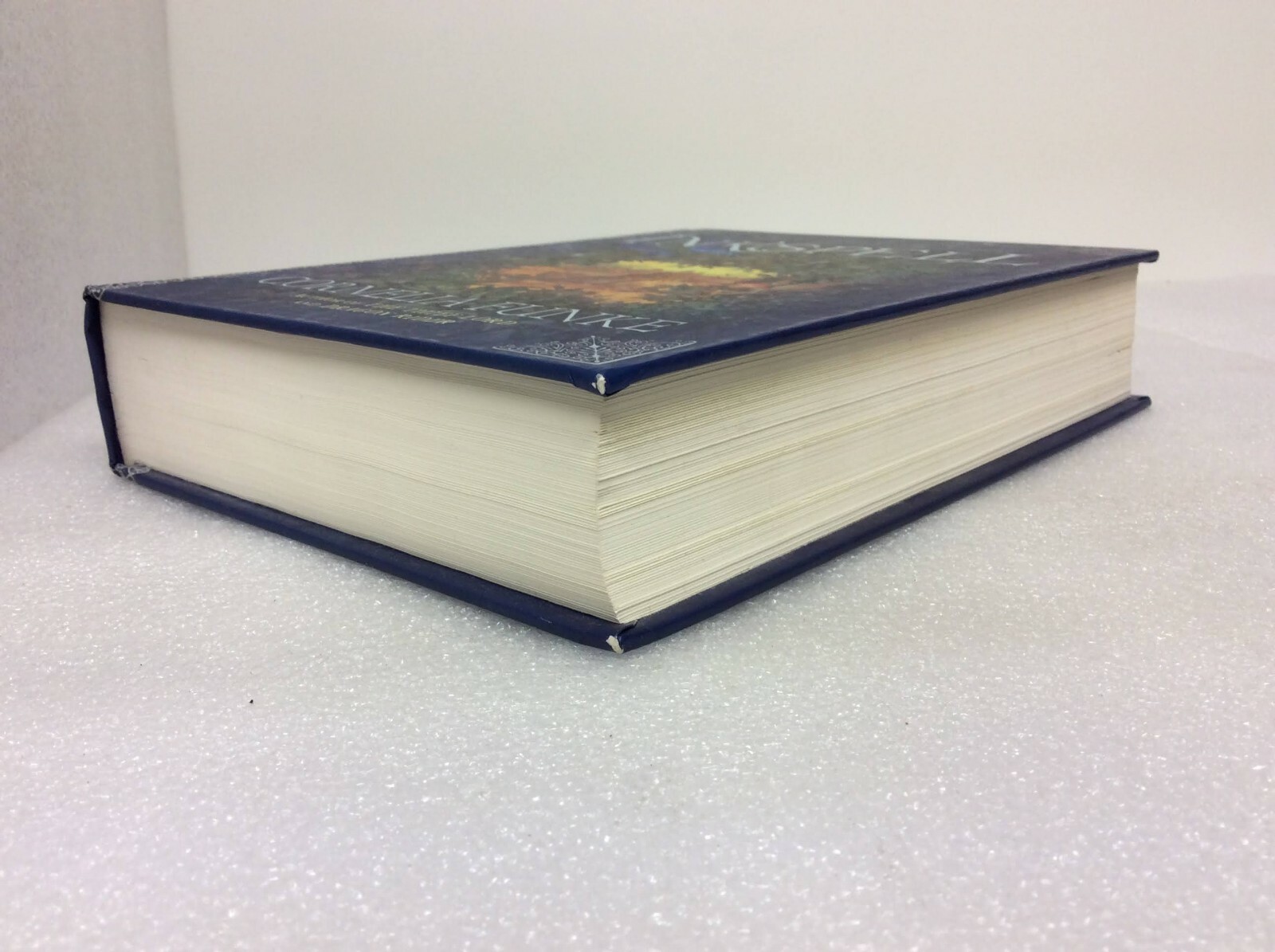 Inkspell — By Cornelia Funke — (2006, First Printing in USA Hardcover) Very Good