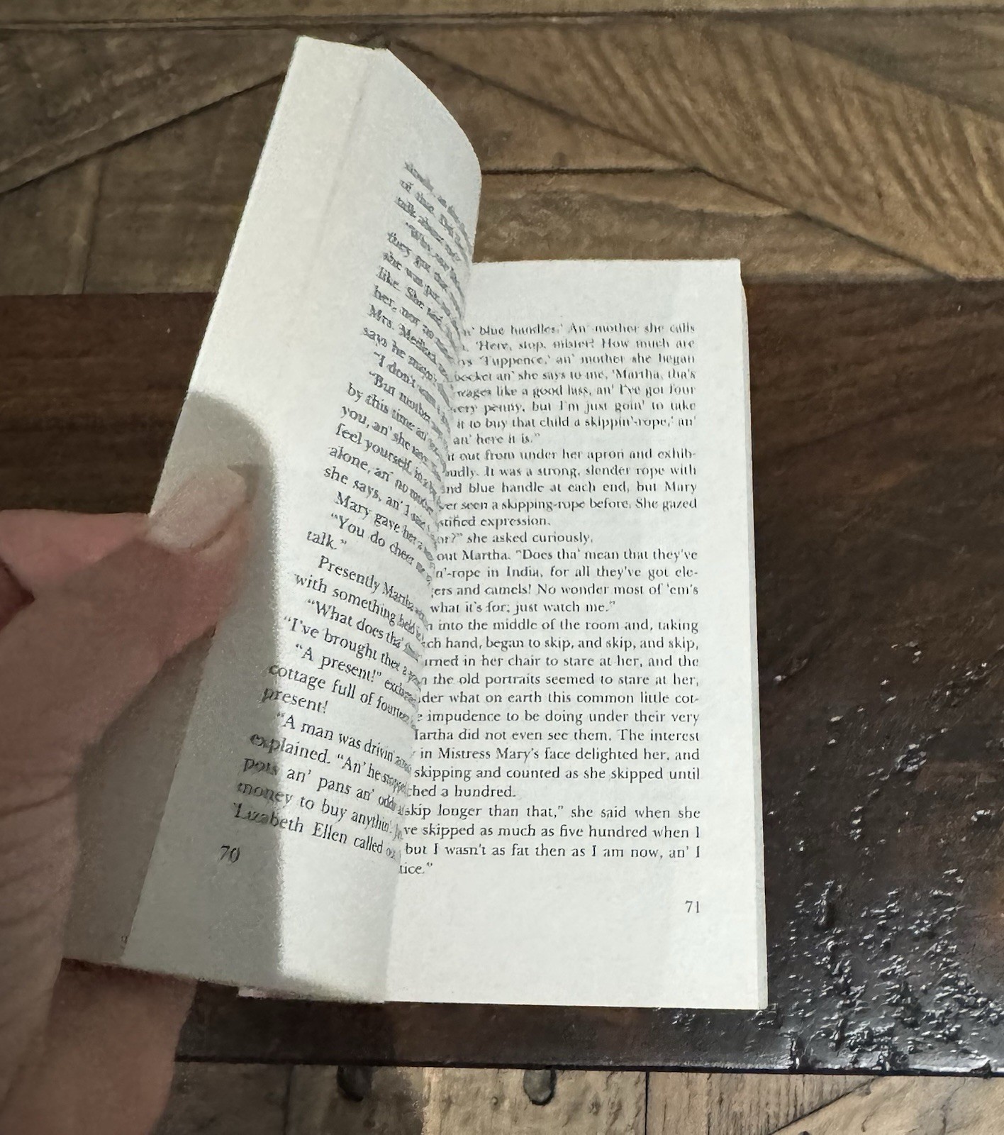 The Secret Garden by Francis Hodgson Burnett (Trade Paperback)