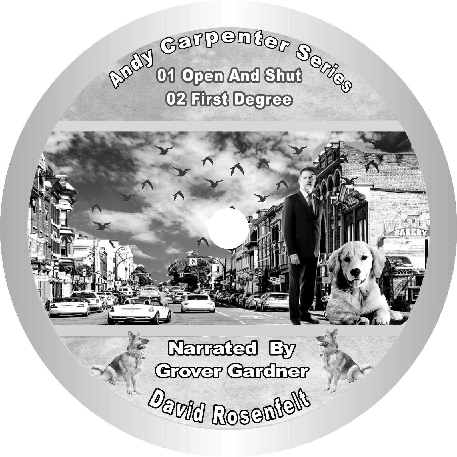 David Rosenfelt Andy Carpenter mysteries 22 unabridged audiobookson 11 mp3 Cds
