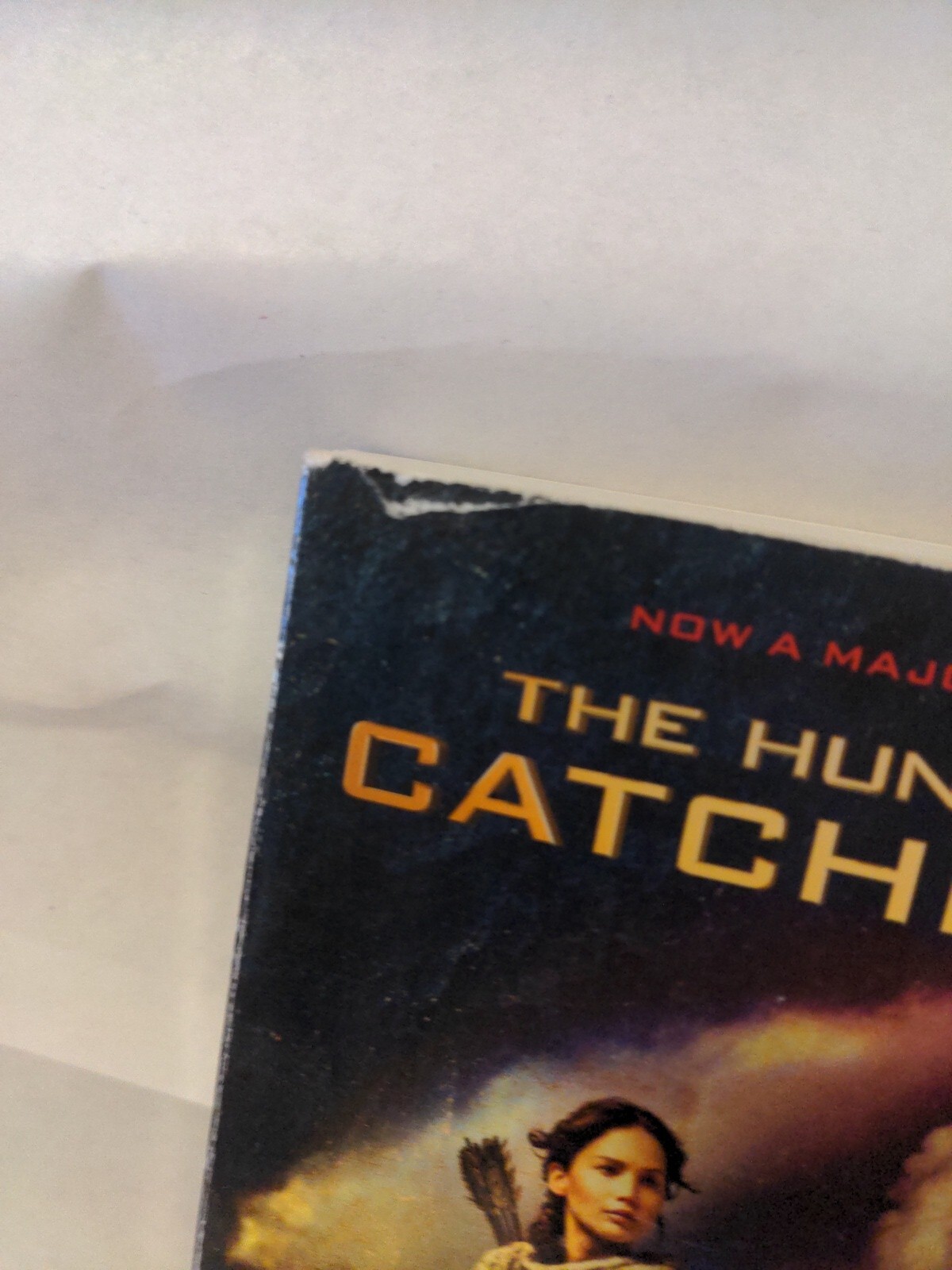 The Hunger Games Ser.: Catching Fire: Movie Tie-In Edition (Hunger Games,…