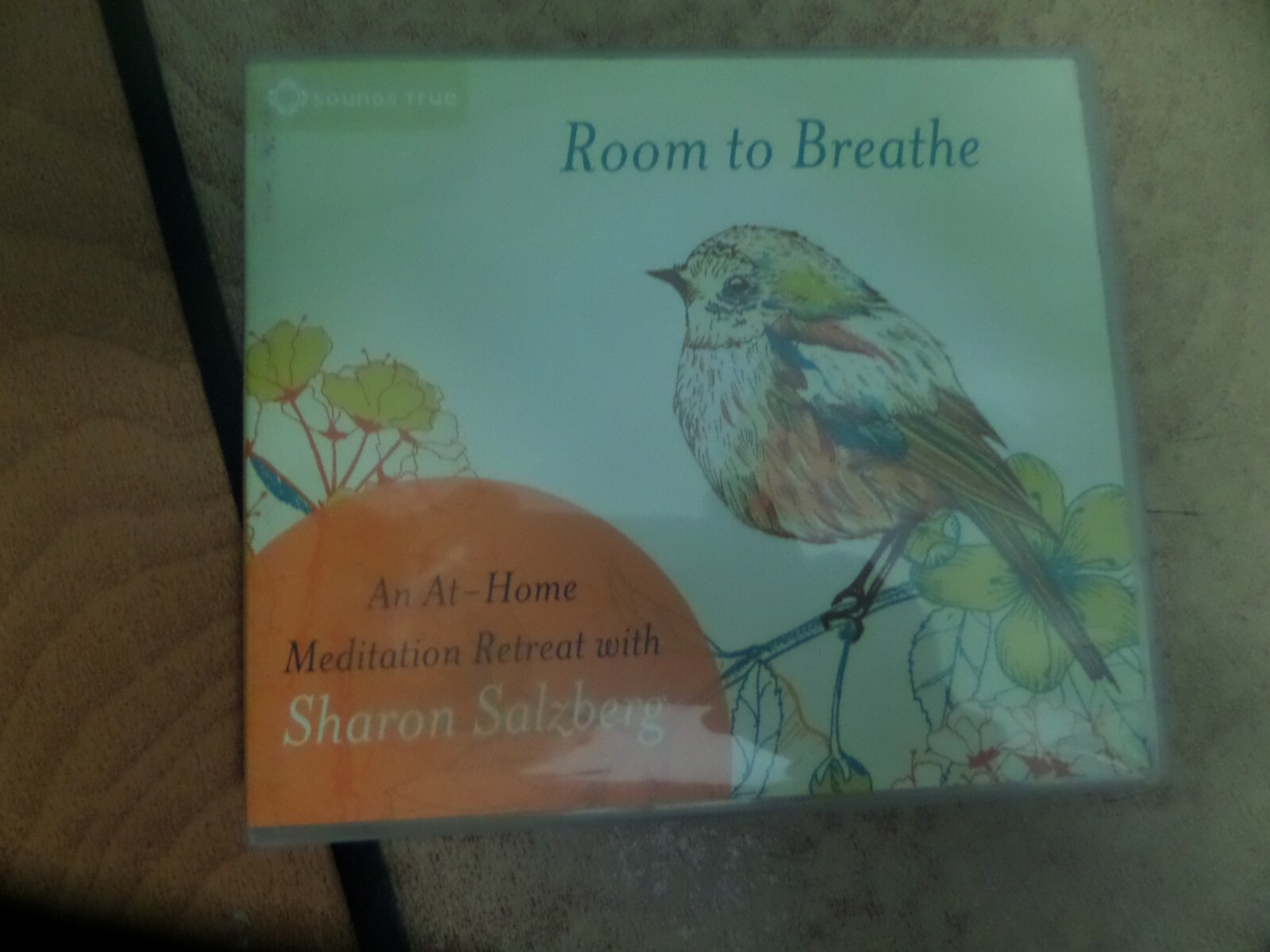 Room to Breathe: An At-Home Meditation Retreat with Sharon Salzberg