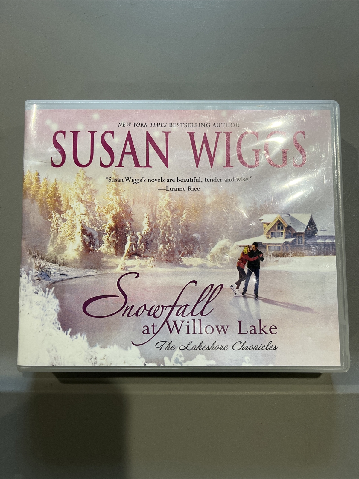 Snowfall At Willow Lake