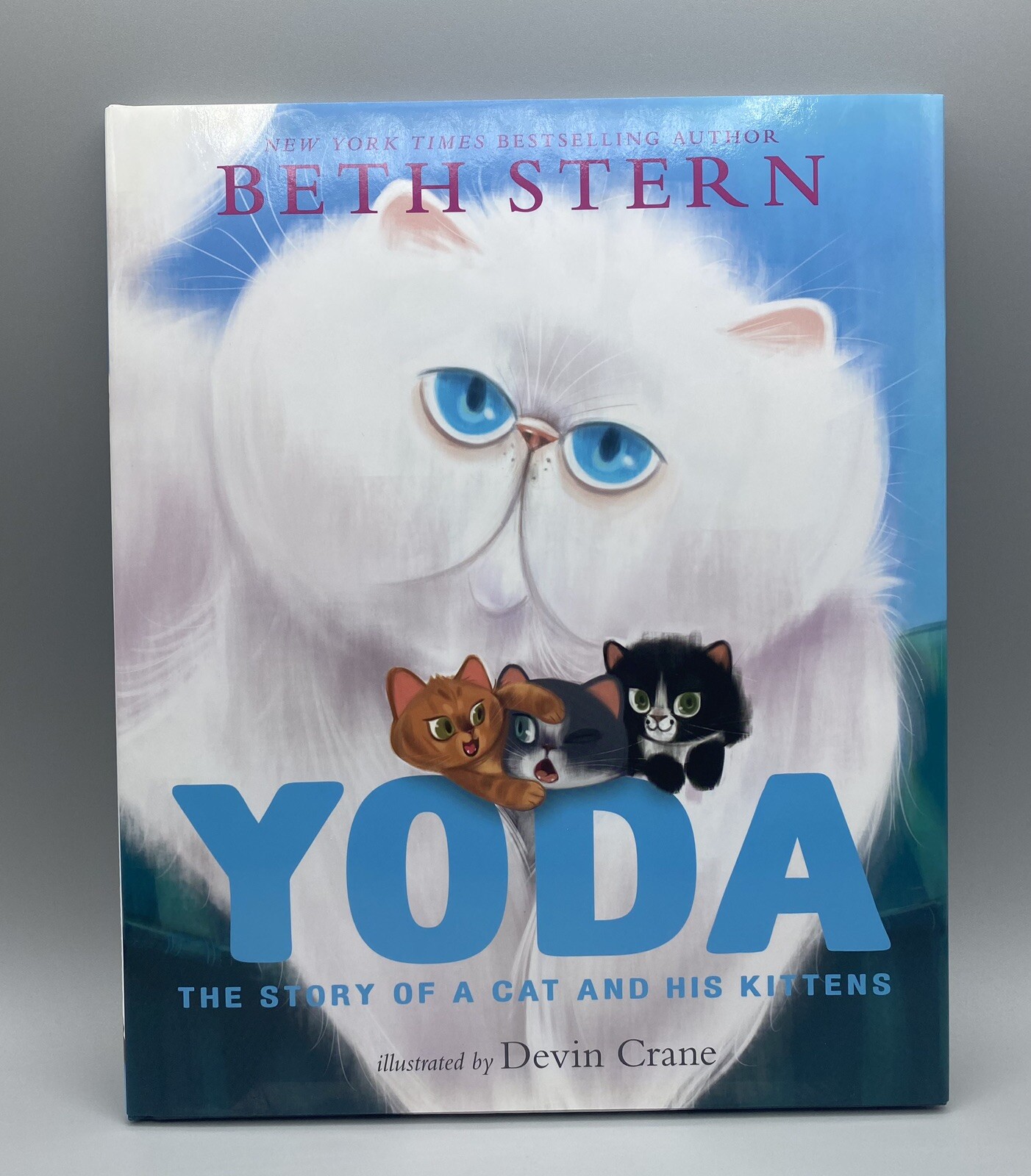 Yoda: The Story of a Cat and His Kittens Book by Beth Stern