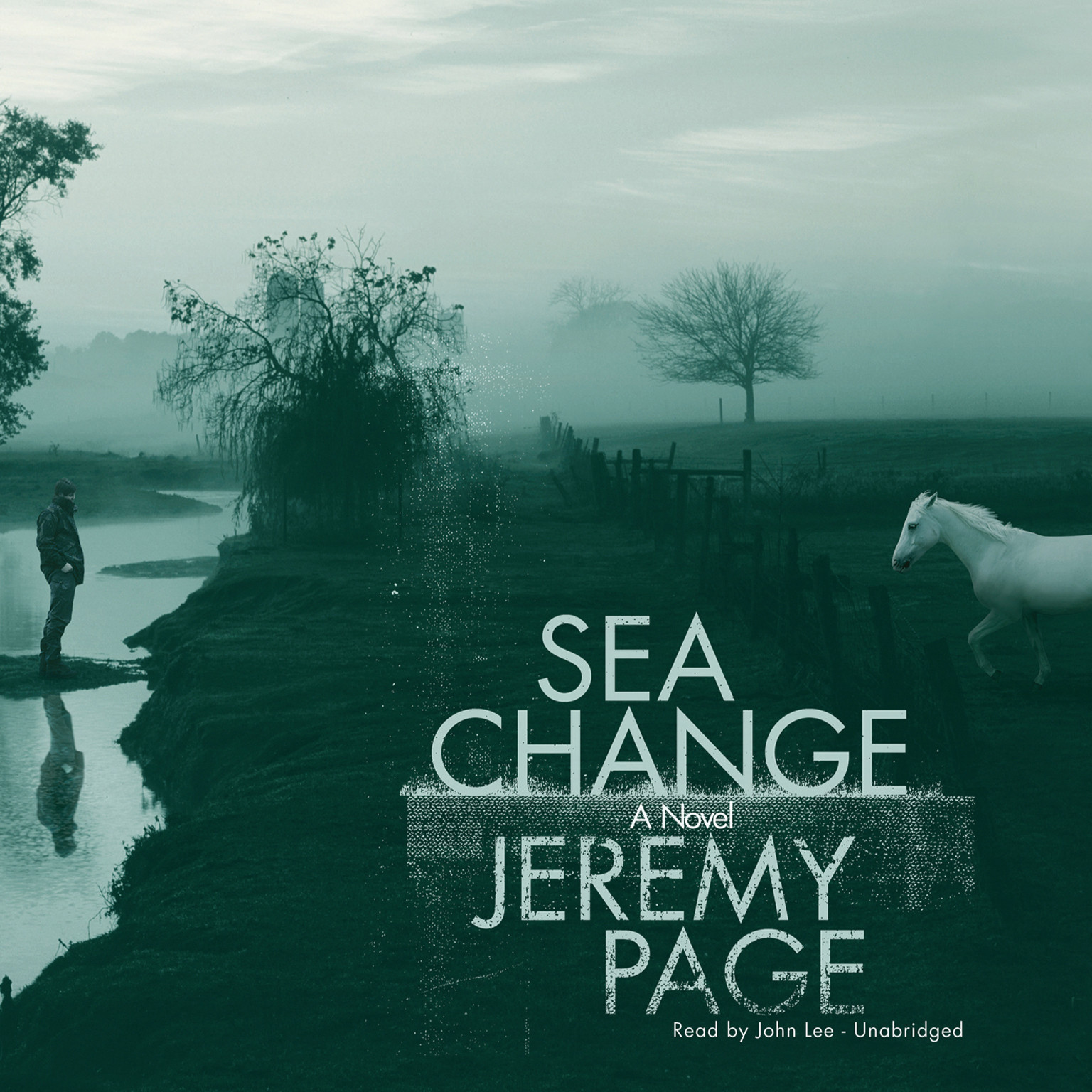 Sea Change by Jeremy Page 2010 Unabridged CD 9781441773708
