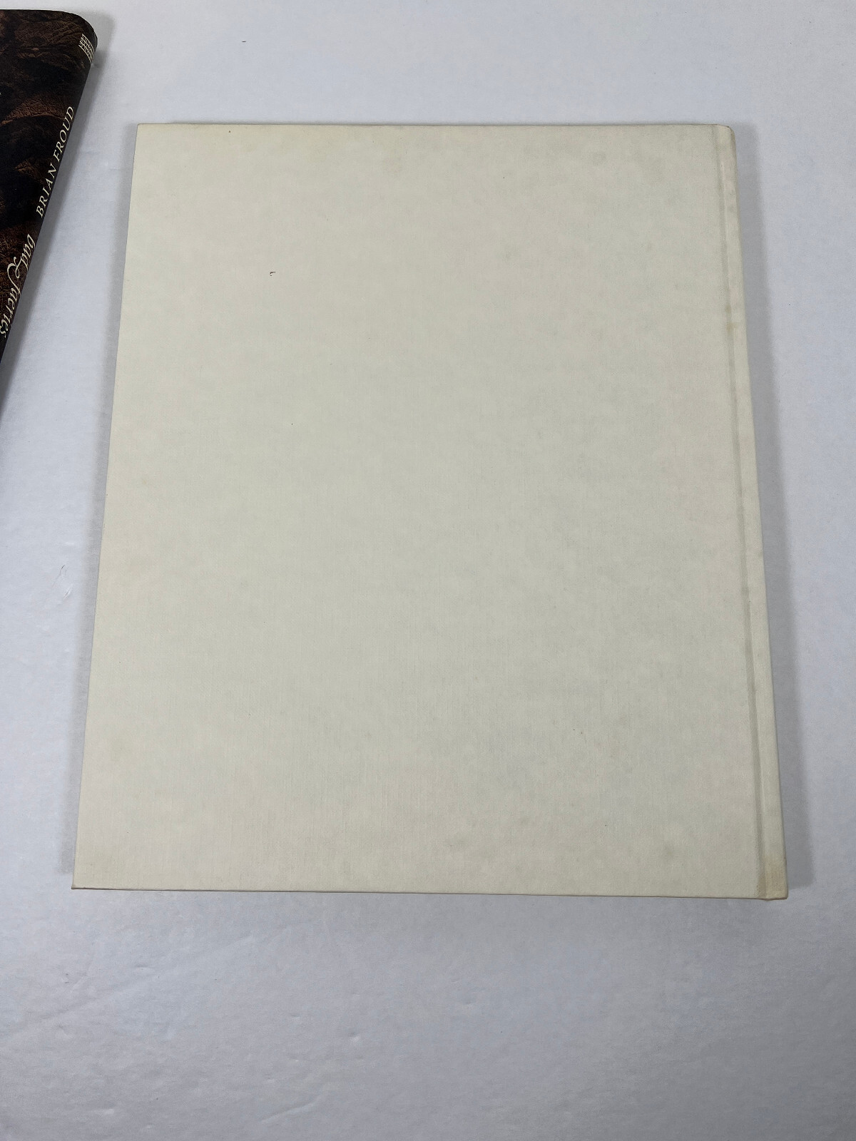 PREOWNED Good Faeries/Bad Faeries Hardcover