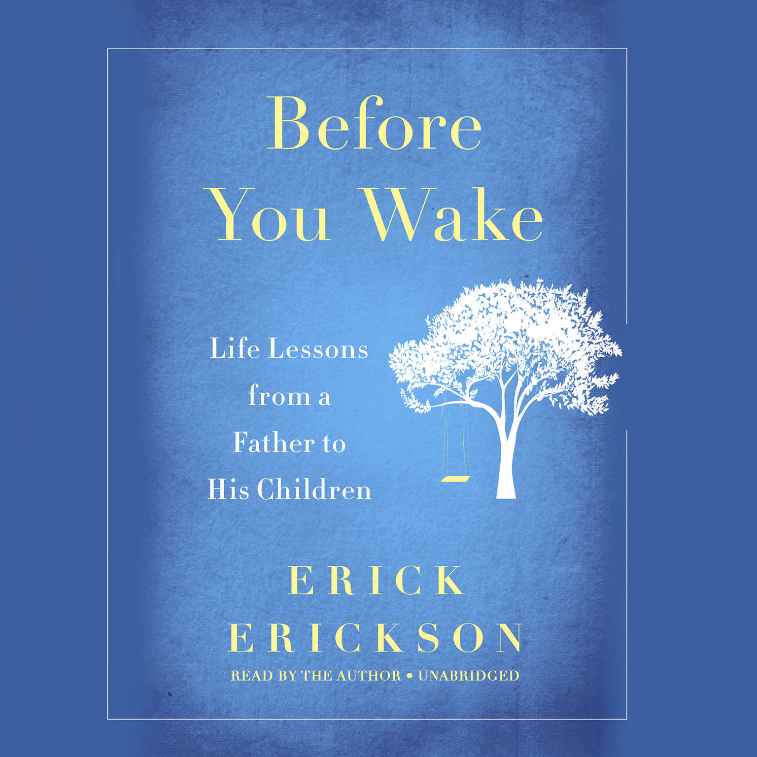 Before You Wake by Erick Erickson 2017 Unabridged CD 9781478997160