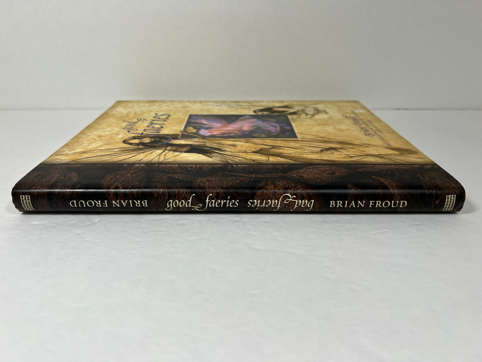 PREOWNED Good Faeries/Bad Faeries Hardcover
