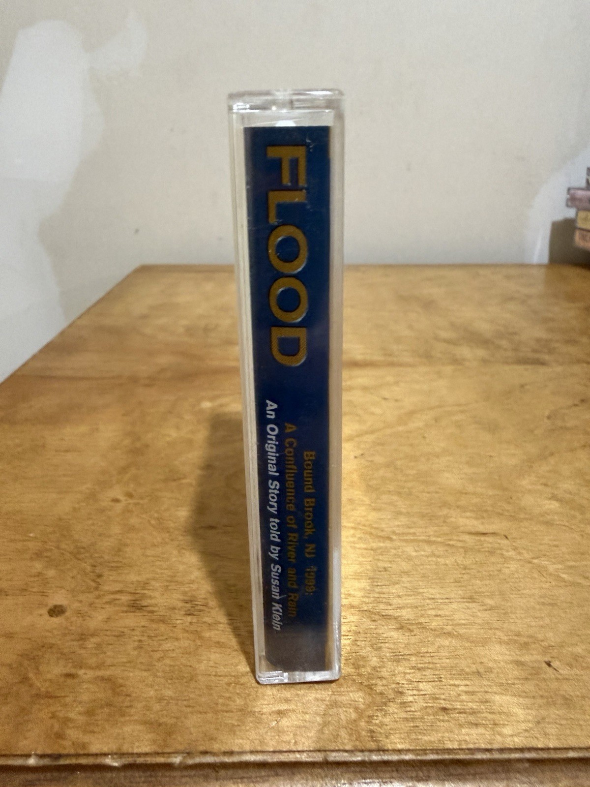 Flood by Susan Klein Bound Brook, NJ 1999 River & Rain Cassette Audiobook