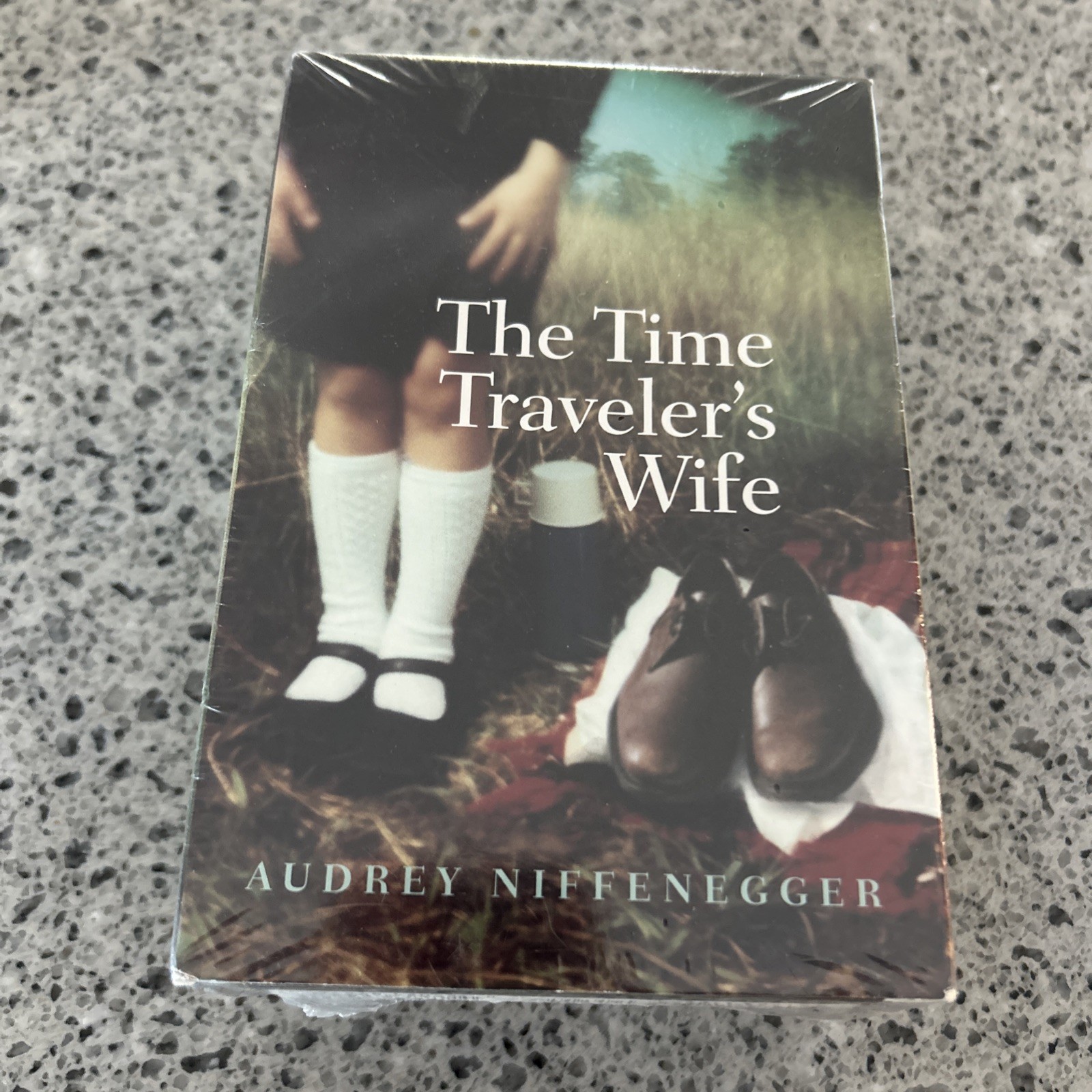 The Time Traveler’s Wife by Audrey Niffenegger (2003, Cassettes, Abridged) NEW