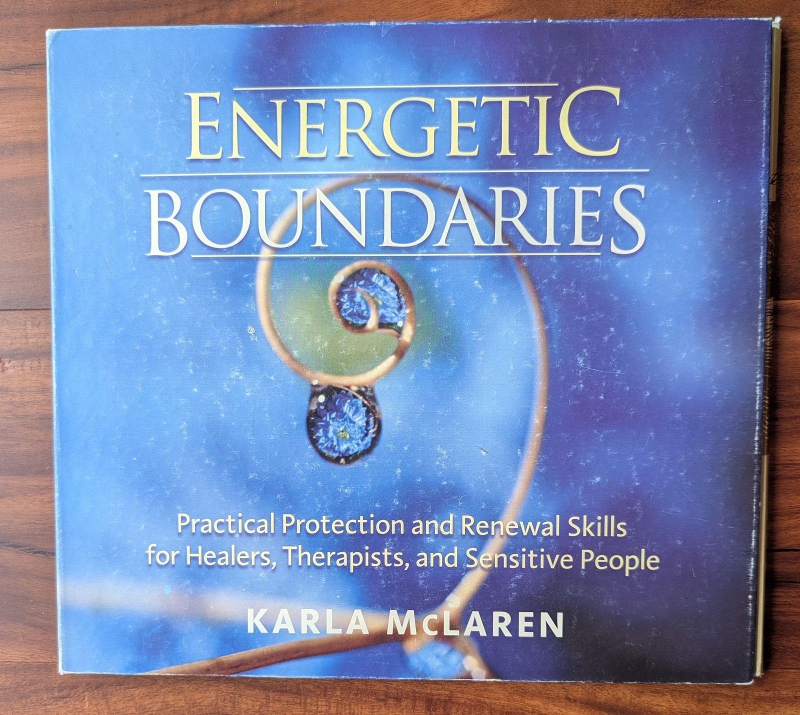 Energetic Boundaries: Skills for Healers Karla McLaren 6 CD set with study guide