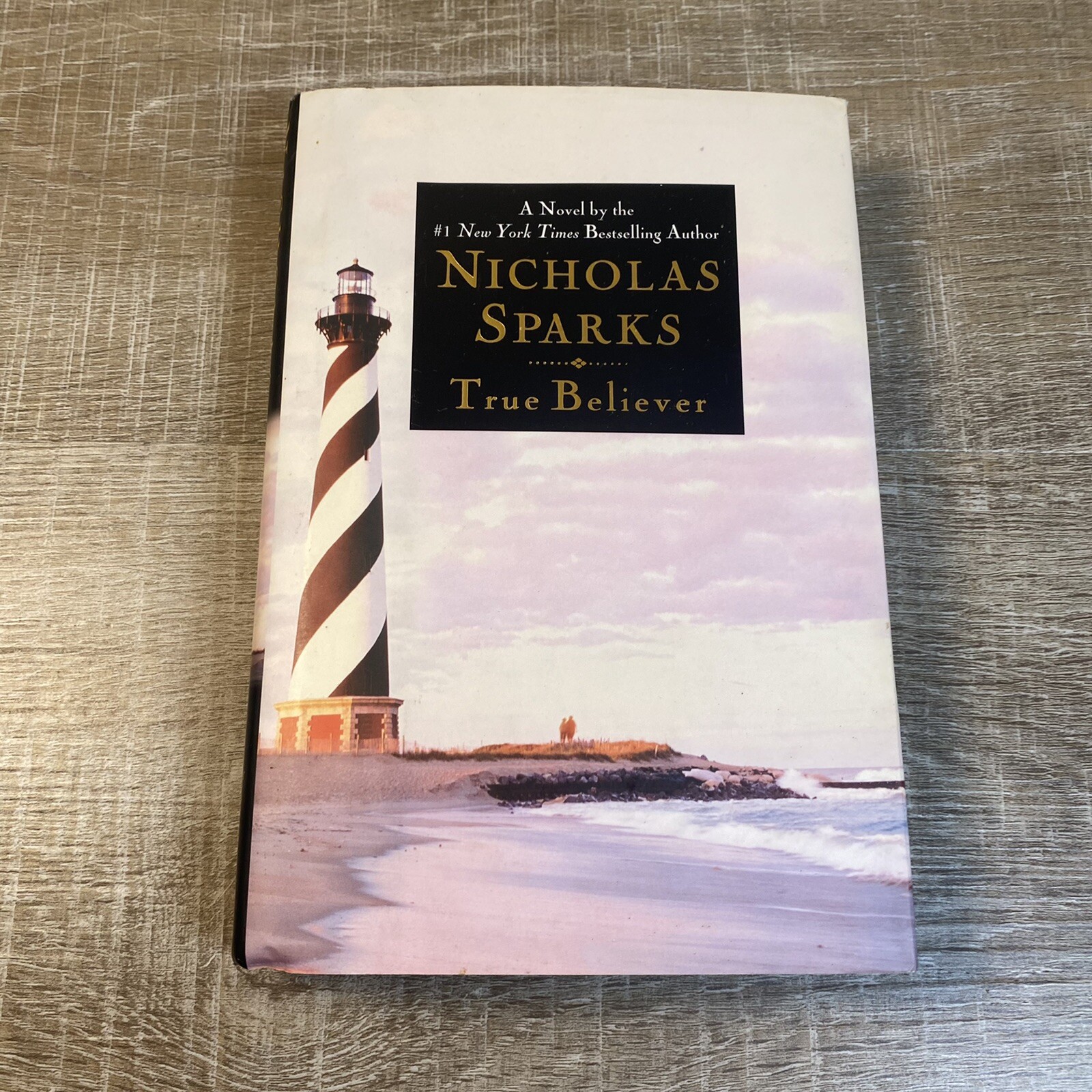 True Believer by Nicholas Sparks, #1 NY Times bestselling author (Hardcover)