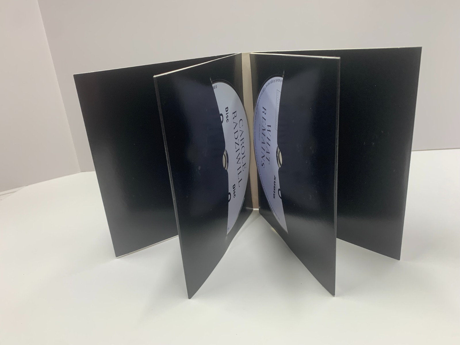 AUDIO BOOK-WHAT REMAINS. CAROLE RADZILL Free Shipping