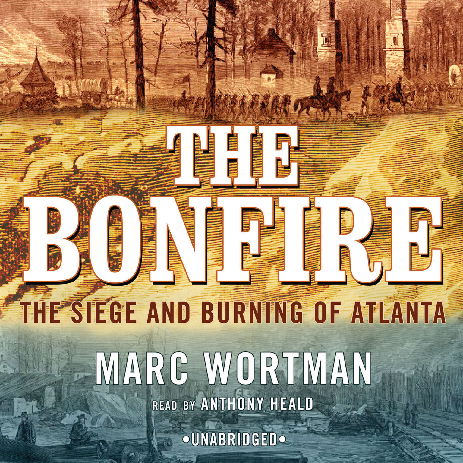 The Bonfire by Marc Wortman 2009 Unabridged CD 9781433279775