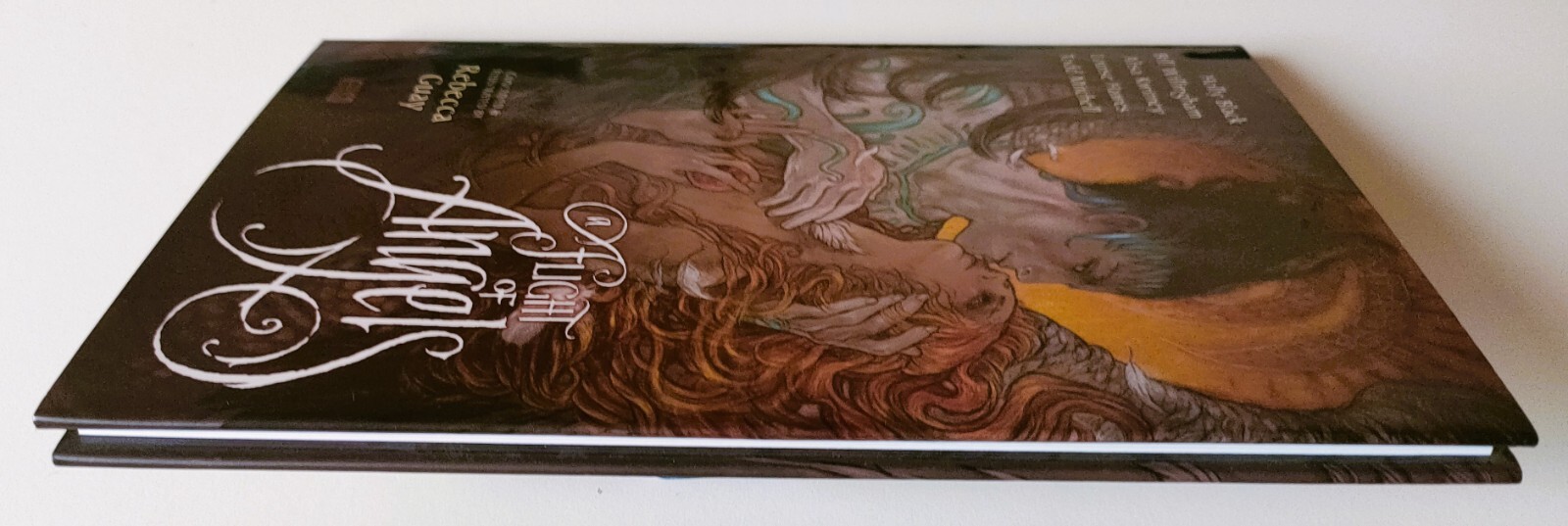 Flight Of Angels by Holly Black, Rebecca Guay (Hardcover, 2011 First Print) VF