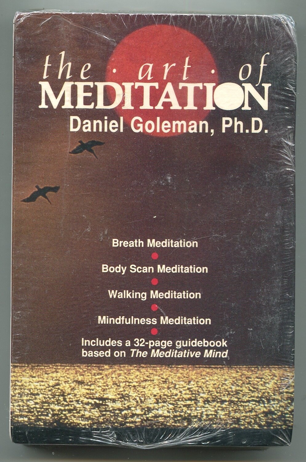 The Art of Meditation / Daniel Goleman ~ CASSETTE TAPE ~ 32-page book ~ AS New