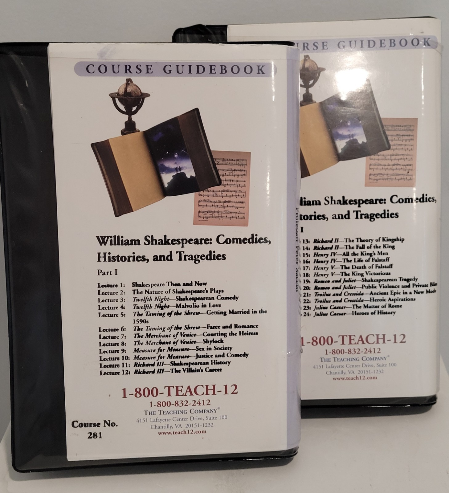 Shakespeare The Word and the Action Part I & II by Professor Saccio 10 CD/DVD